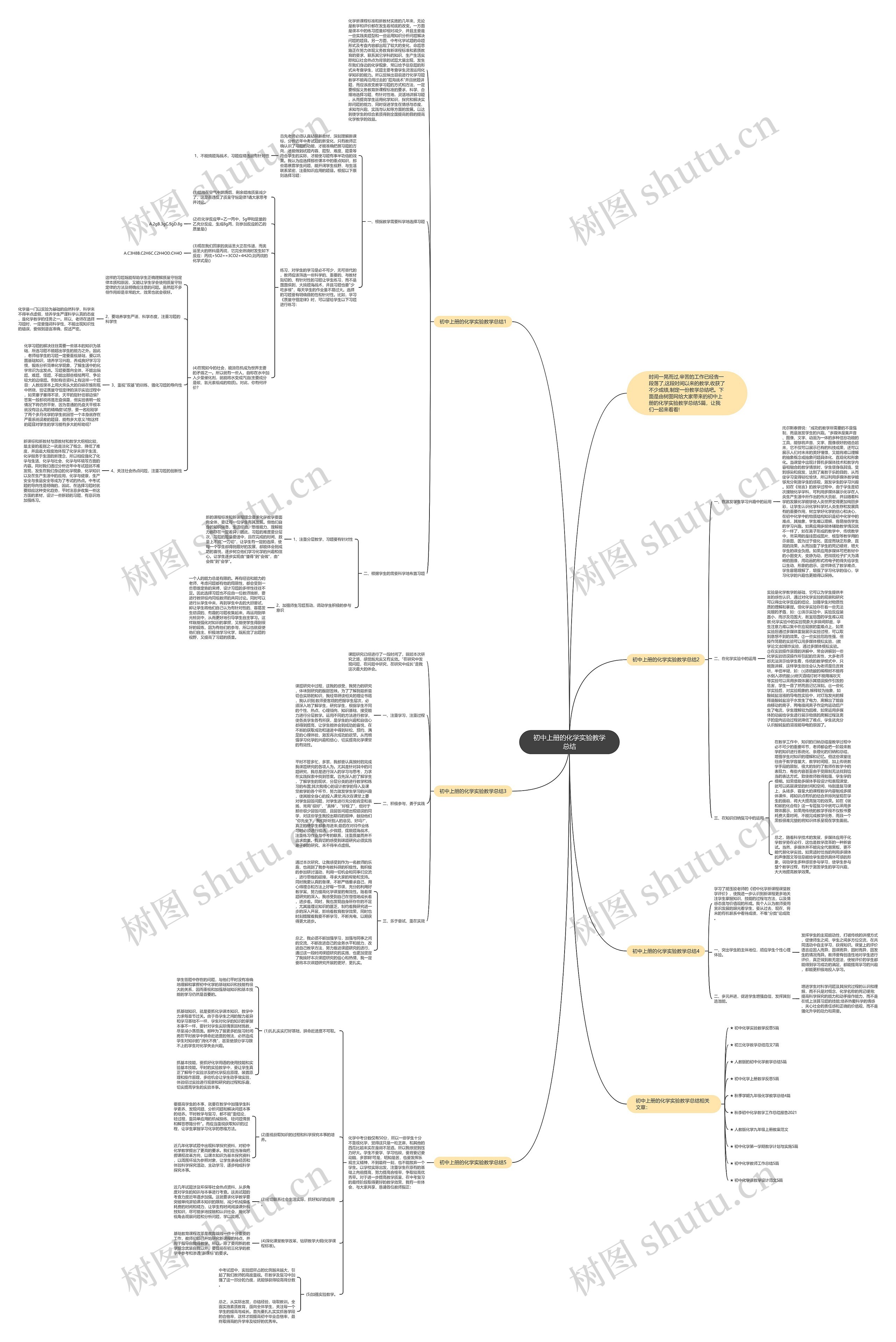 初中上册的化学实验教学总结思维导图