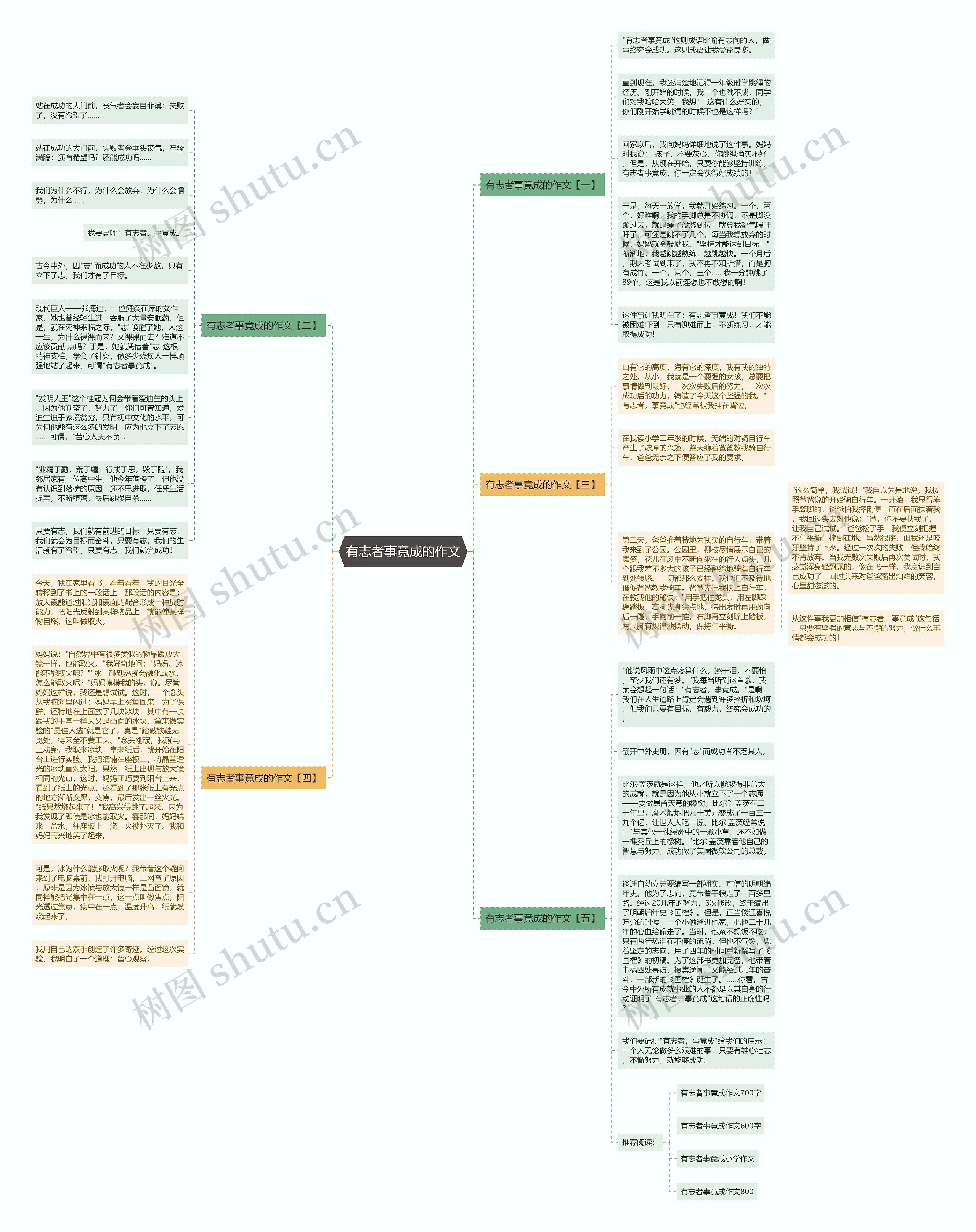 有志者事竟成的作文思维导图