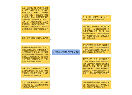 我学会了坚持作文650字