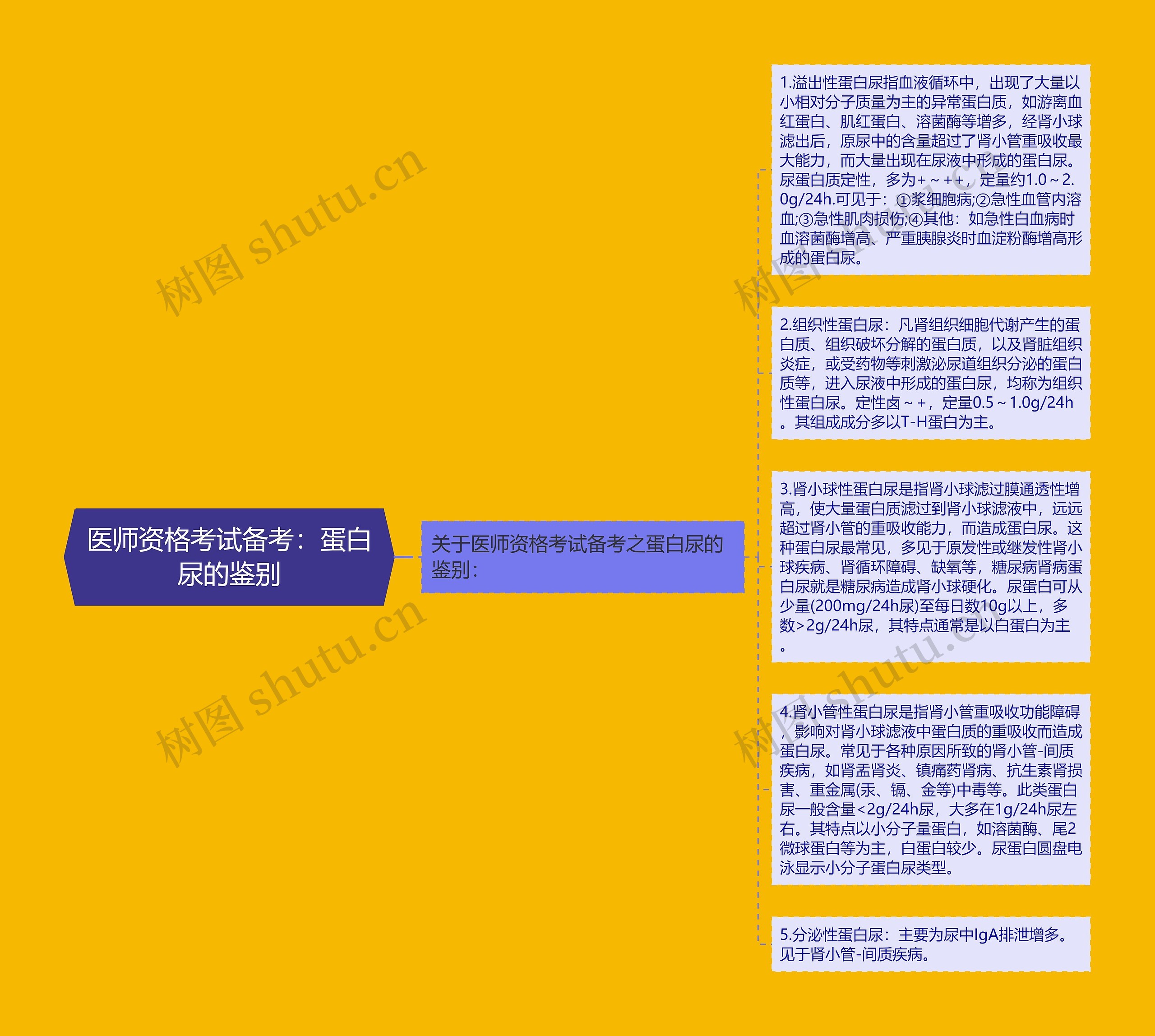 医师资格考试备考：蛋白尿的鉴别思维导图