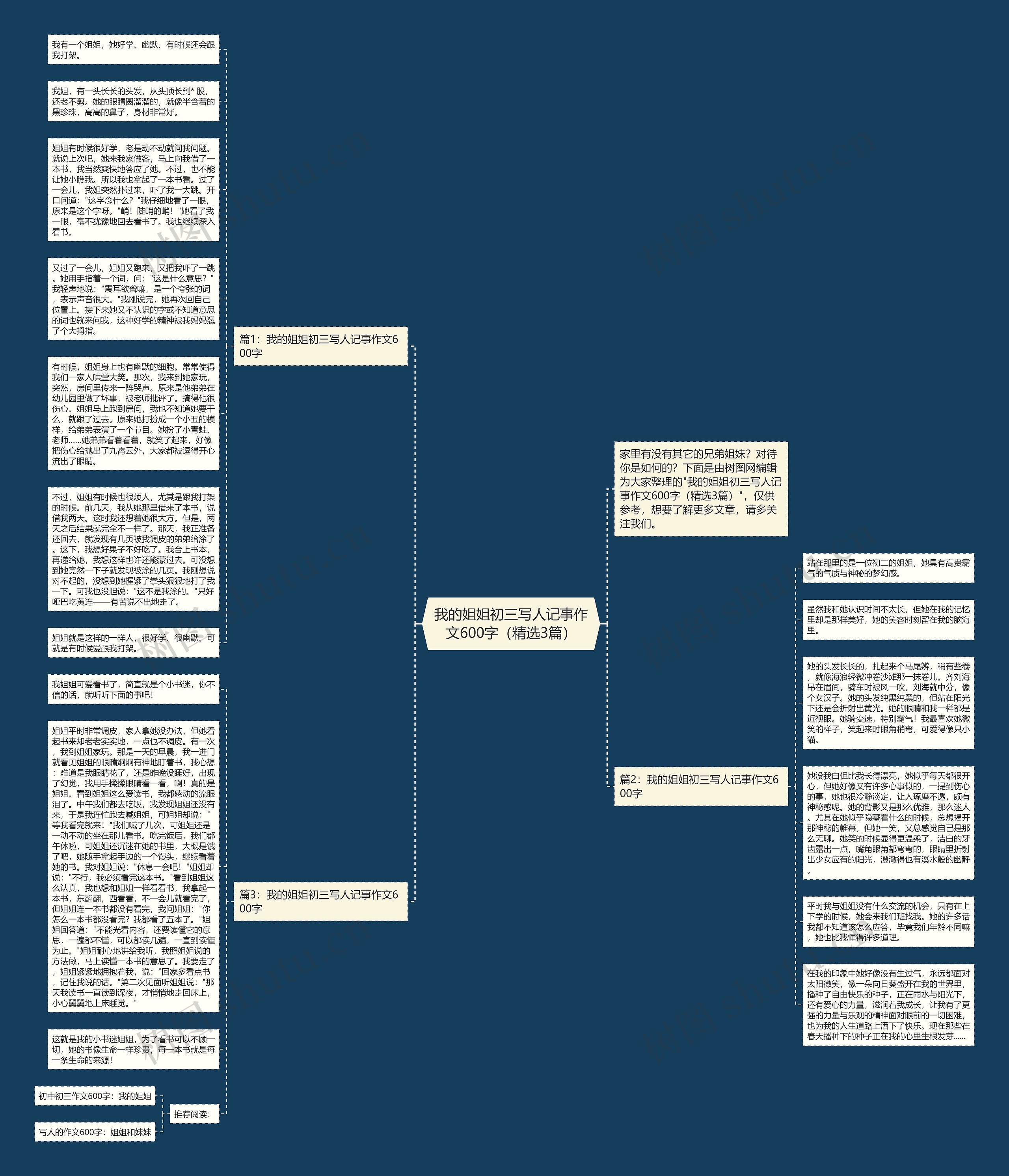 我的姐姐初三写人记事作文600字（精选3篇）思维导图