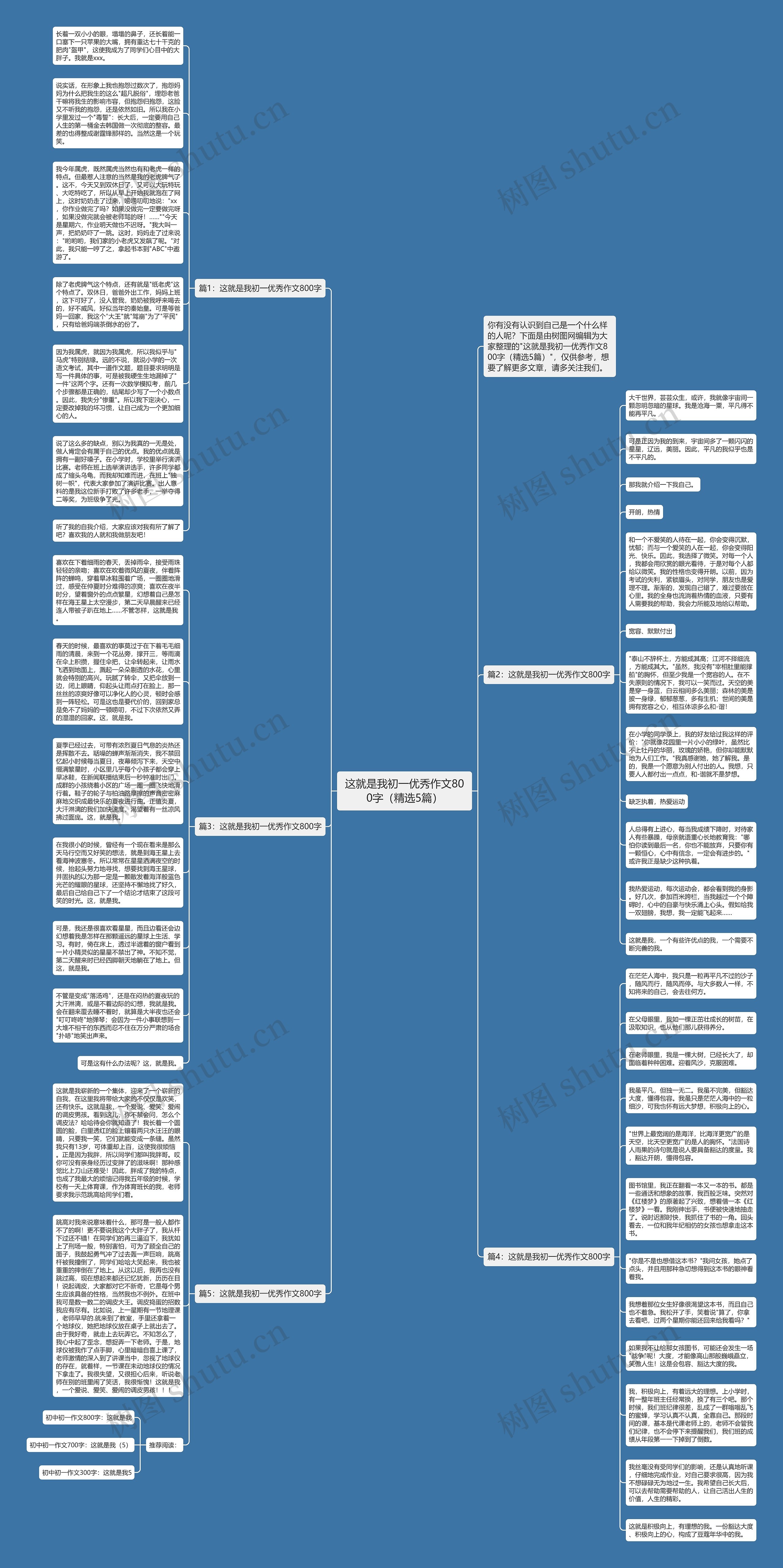 这就是我初一优秀作文800字（精选5篇）思维导图