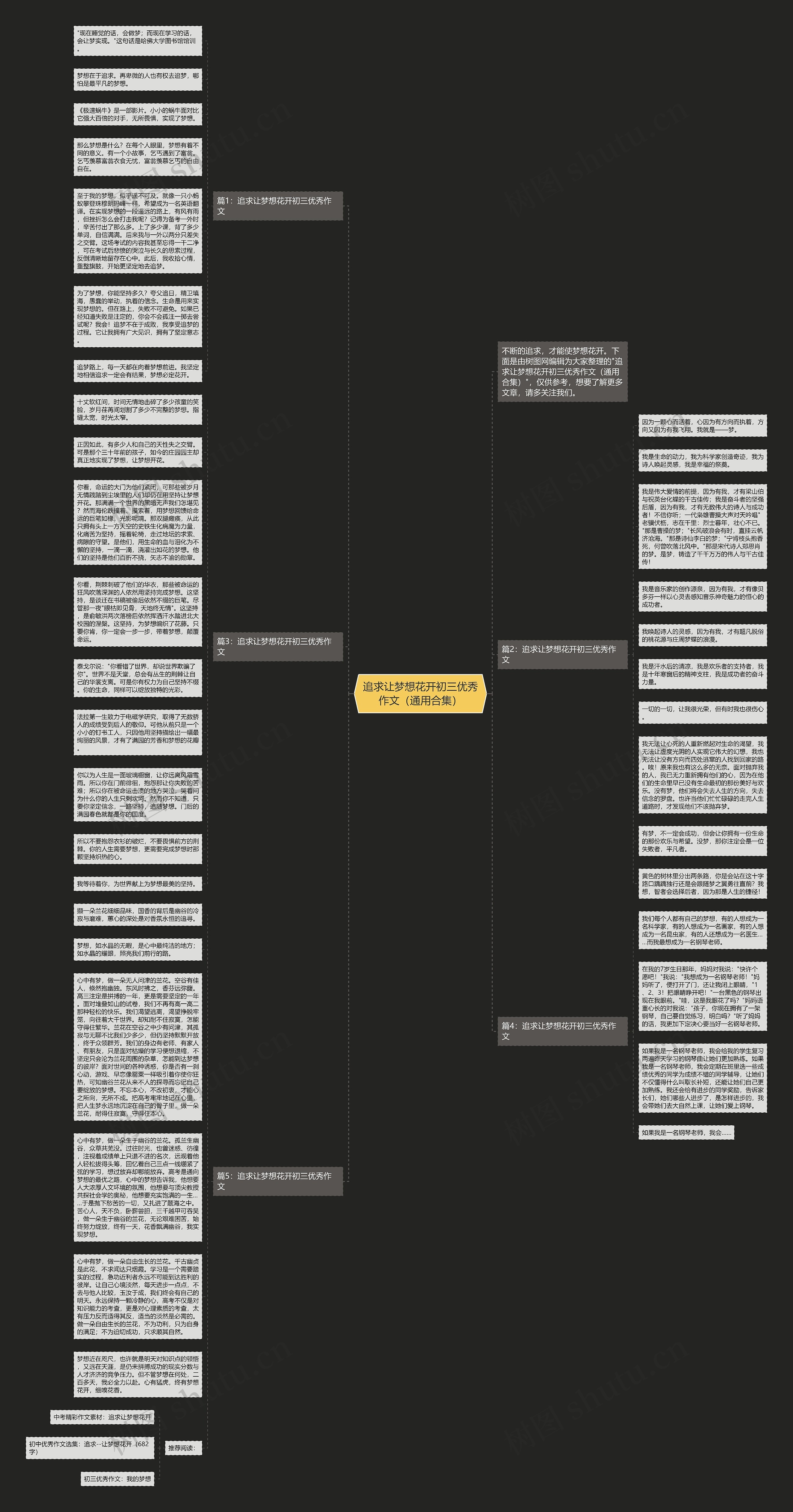 追求让梦想花开初三优秀作文（通用合集）思维导图