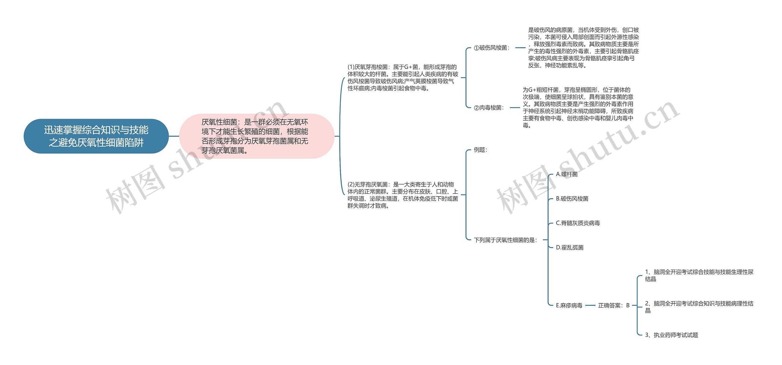 迅速掌握综合知识与技能之避免厌氧性细菌陷阱思维导图