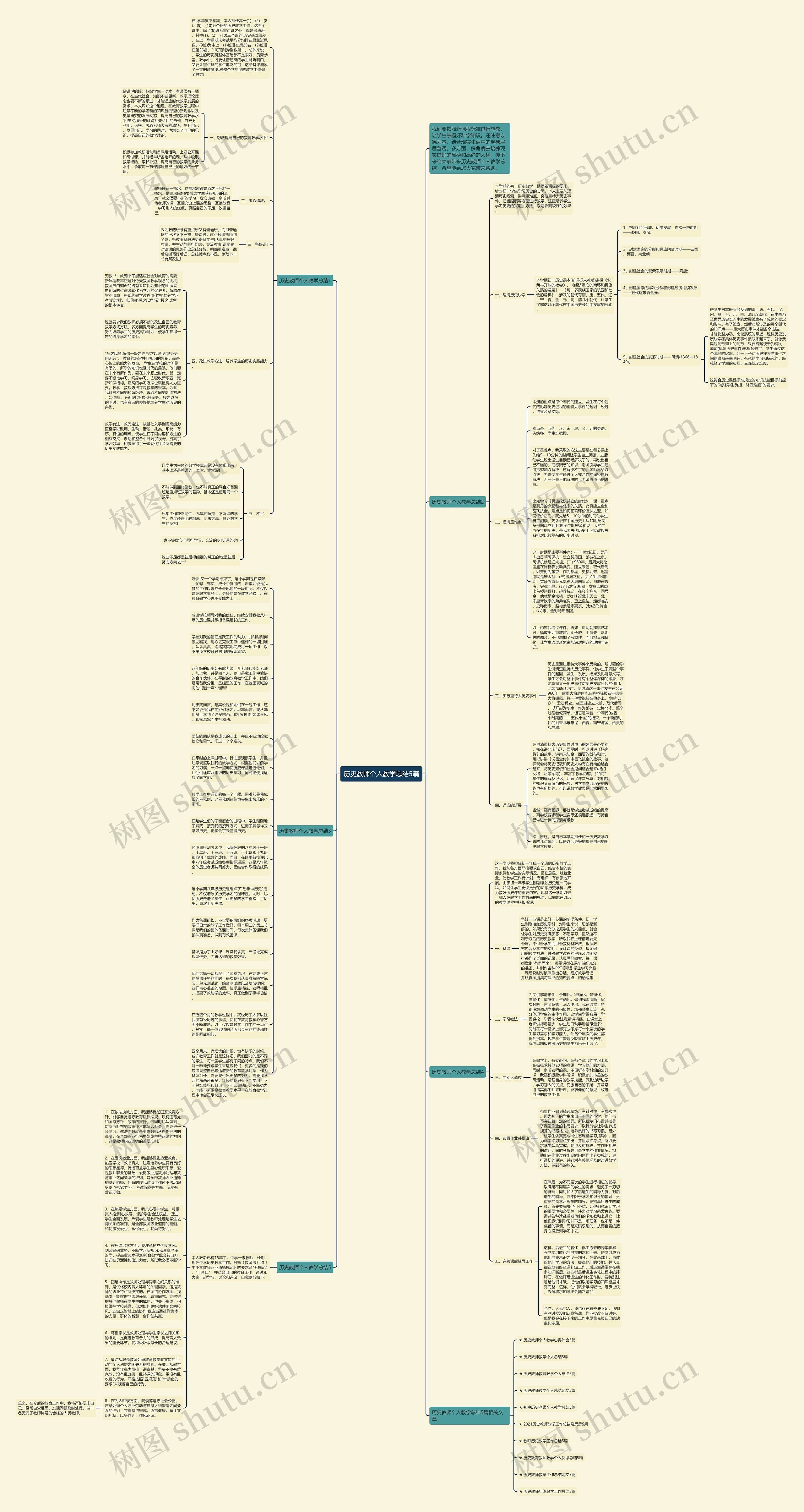 历史教师个人教学总结5篇思维导图