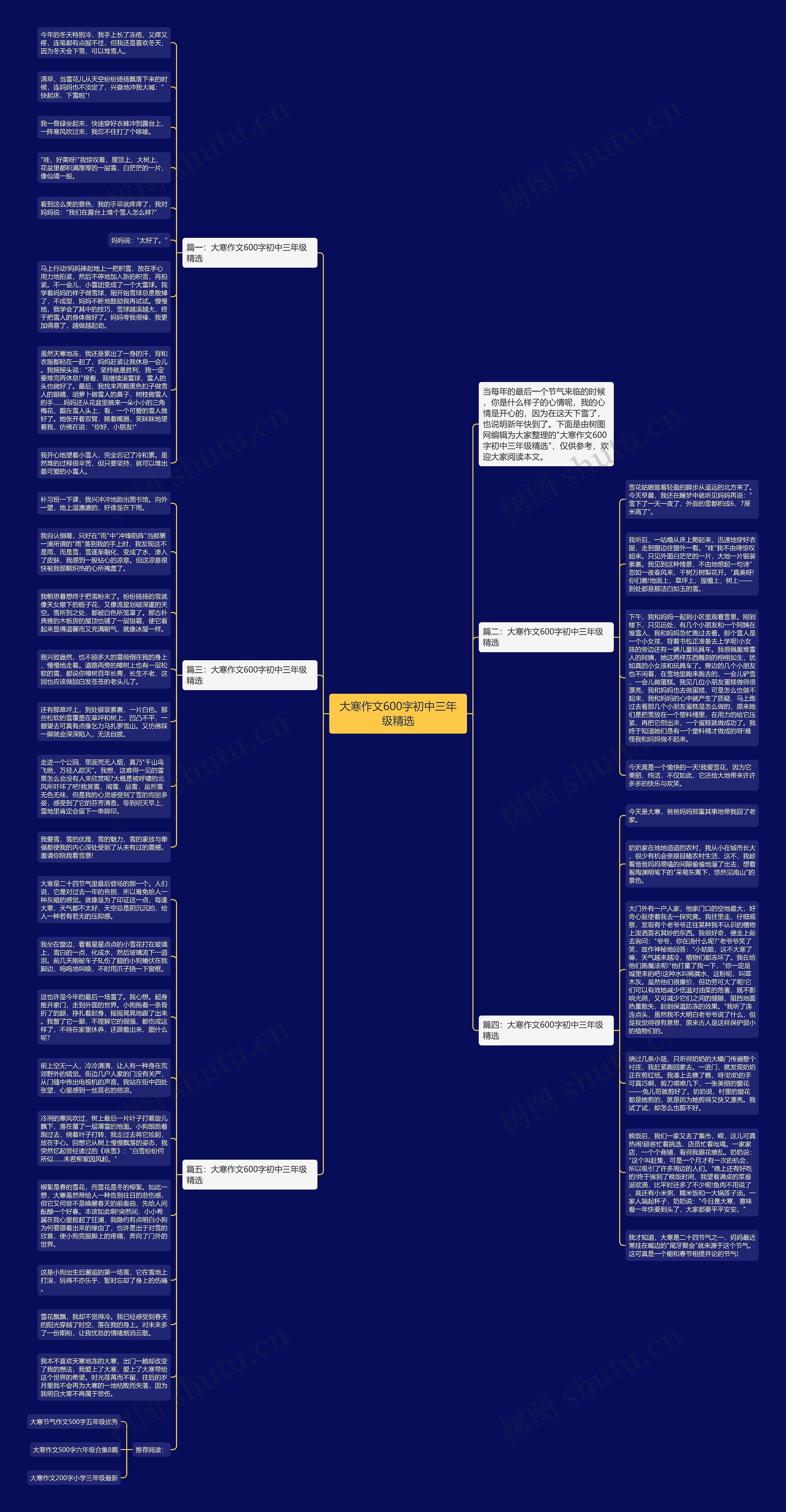 大寒作文600字初中三年级精选思维导图