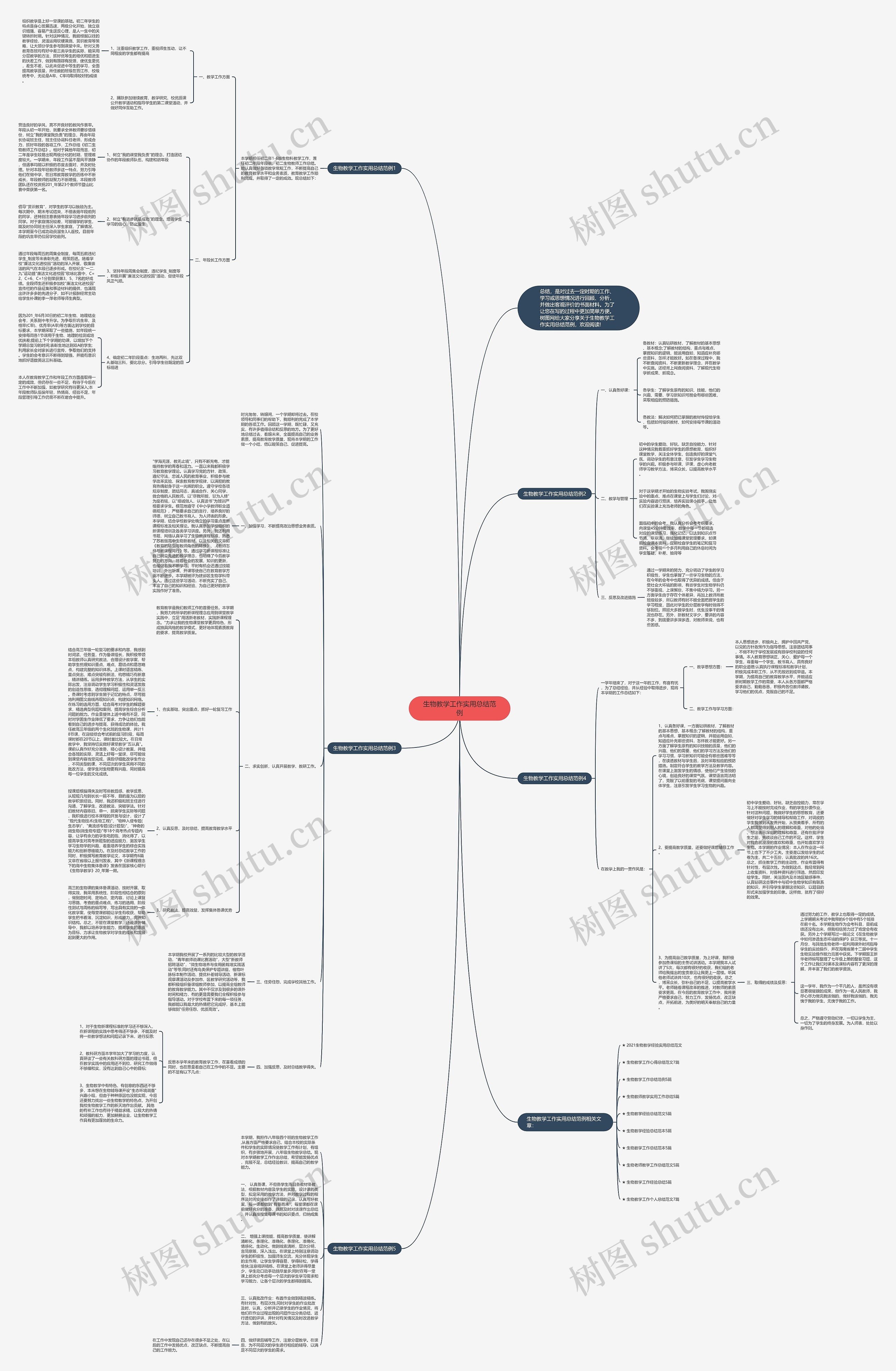 生物教学工作实用总结范例思维导图