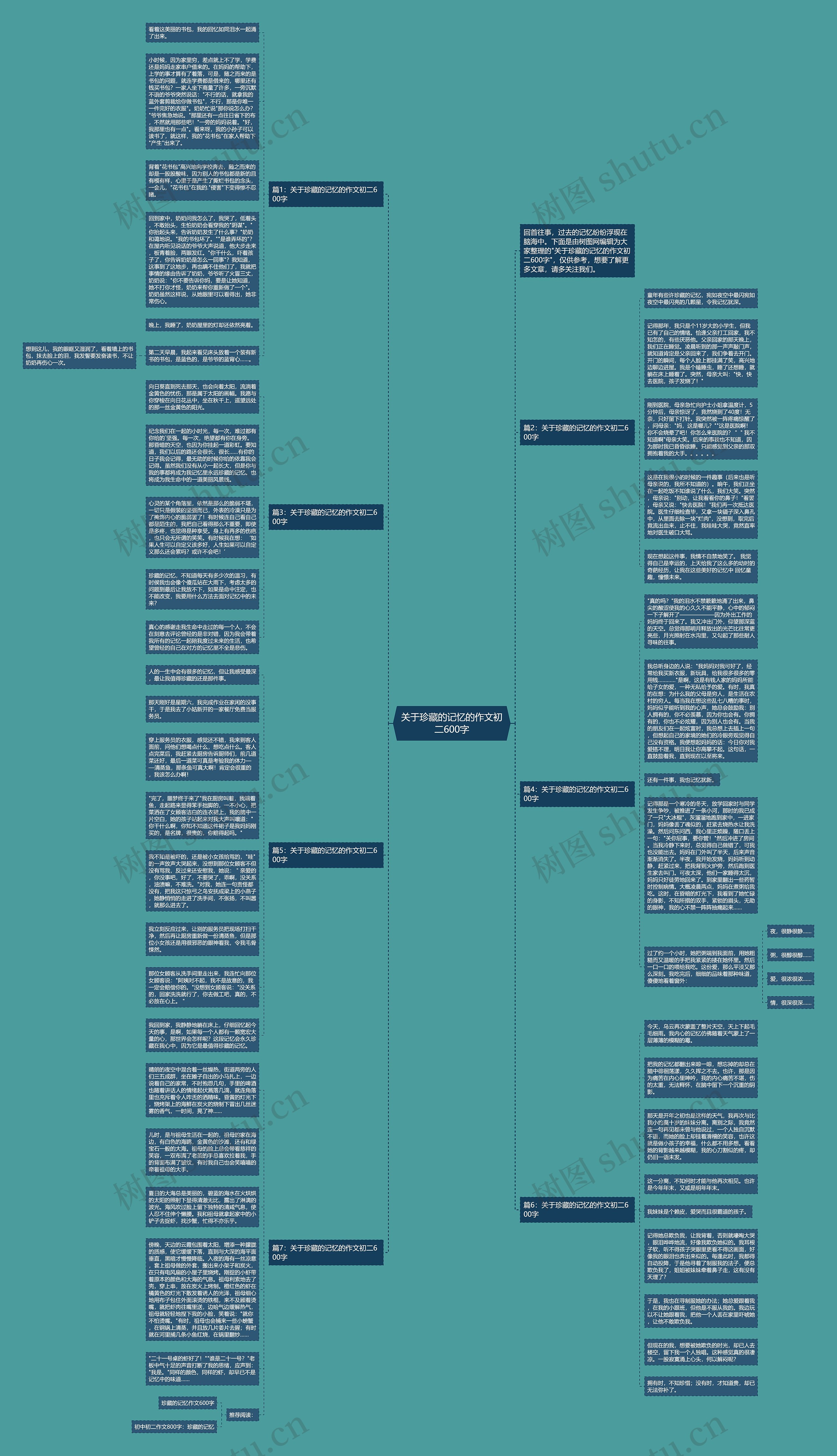 关于珍藏的记忆的作文初二600字思维导图