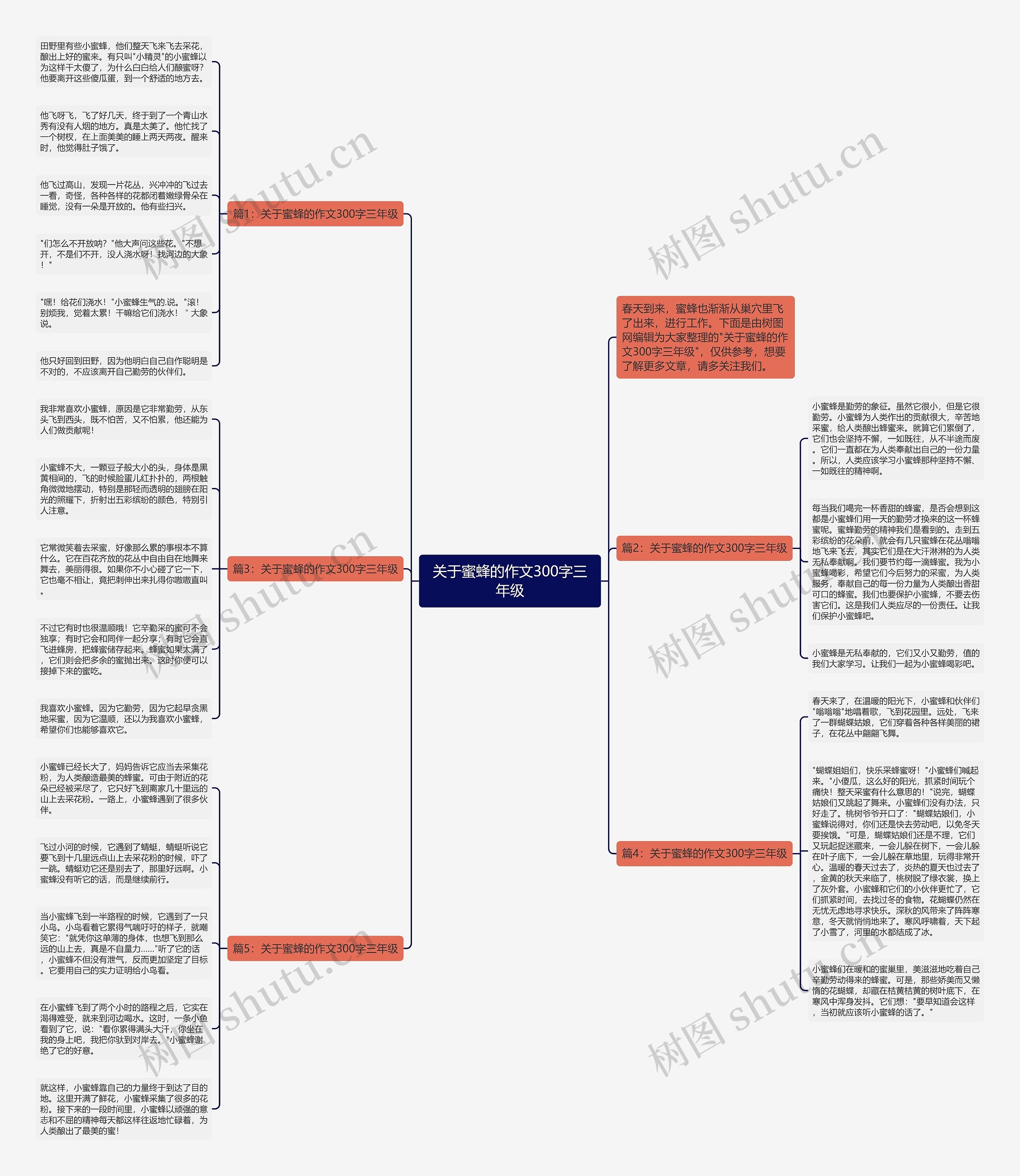 关于蜜蜂的作文300字三年级思维导图