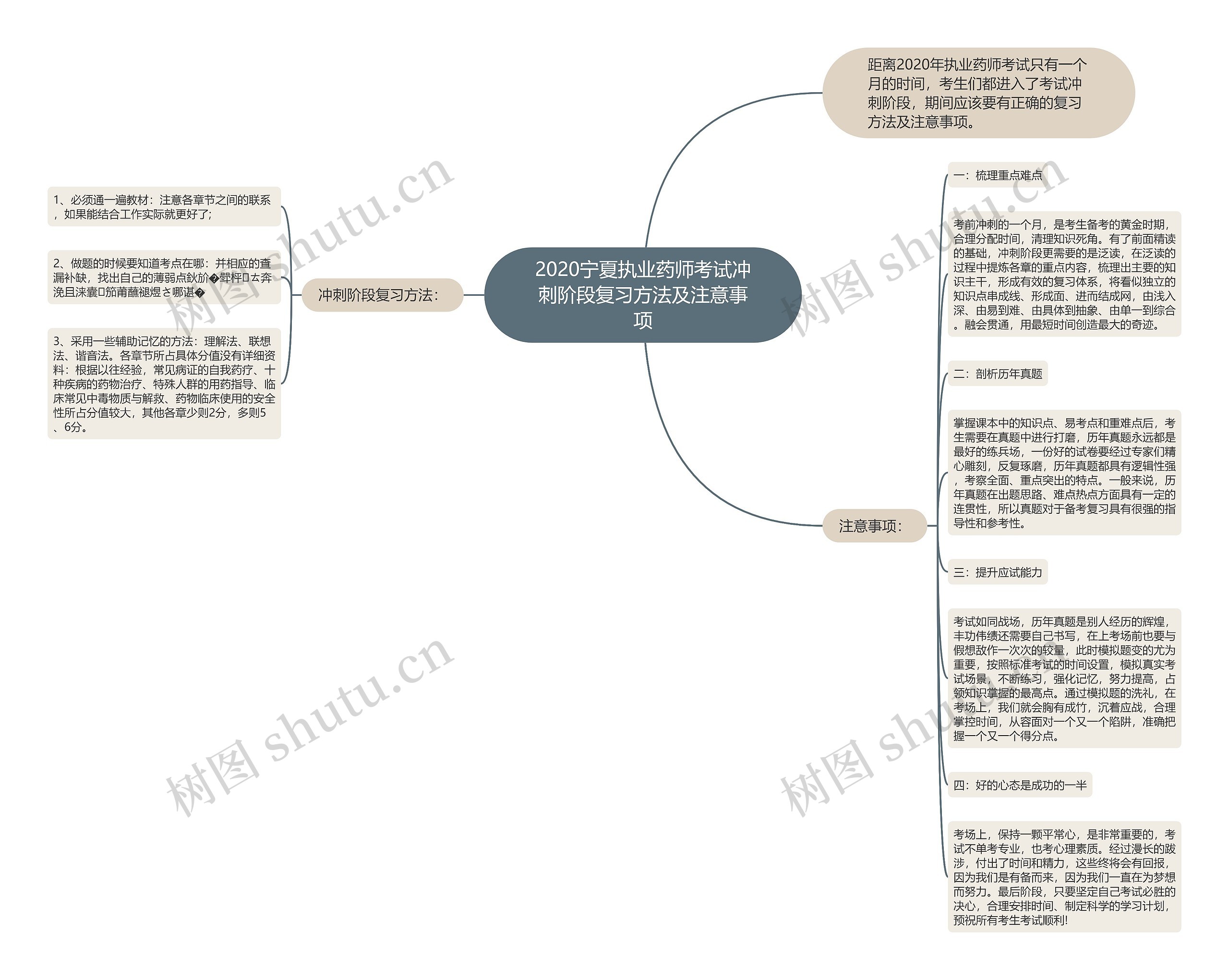 2020宁夏执业药师考试冲刺阶段复习方法及注意事项思维导图