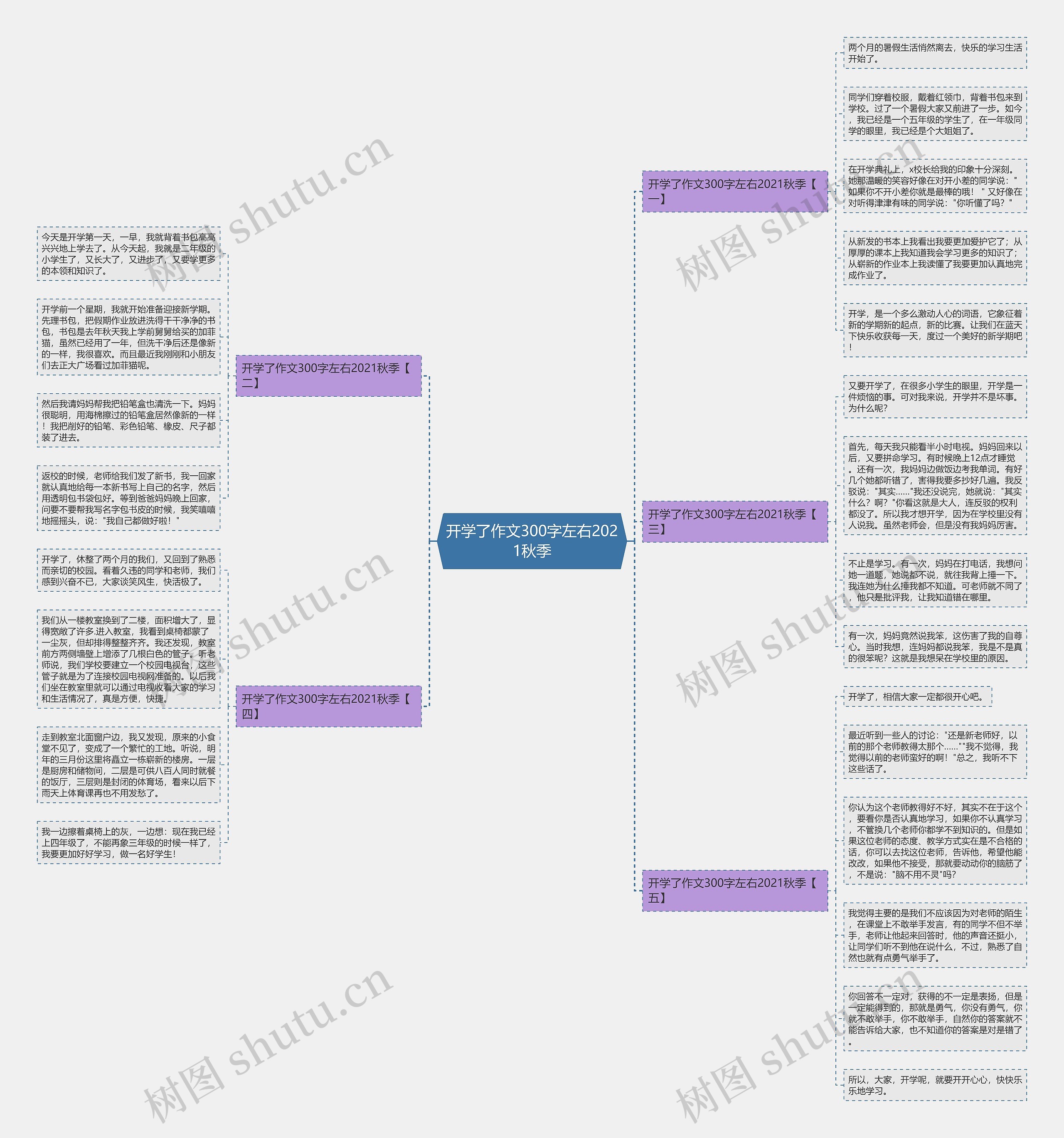 开学了作文300字左右2021秋季思维导图