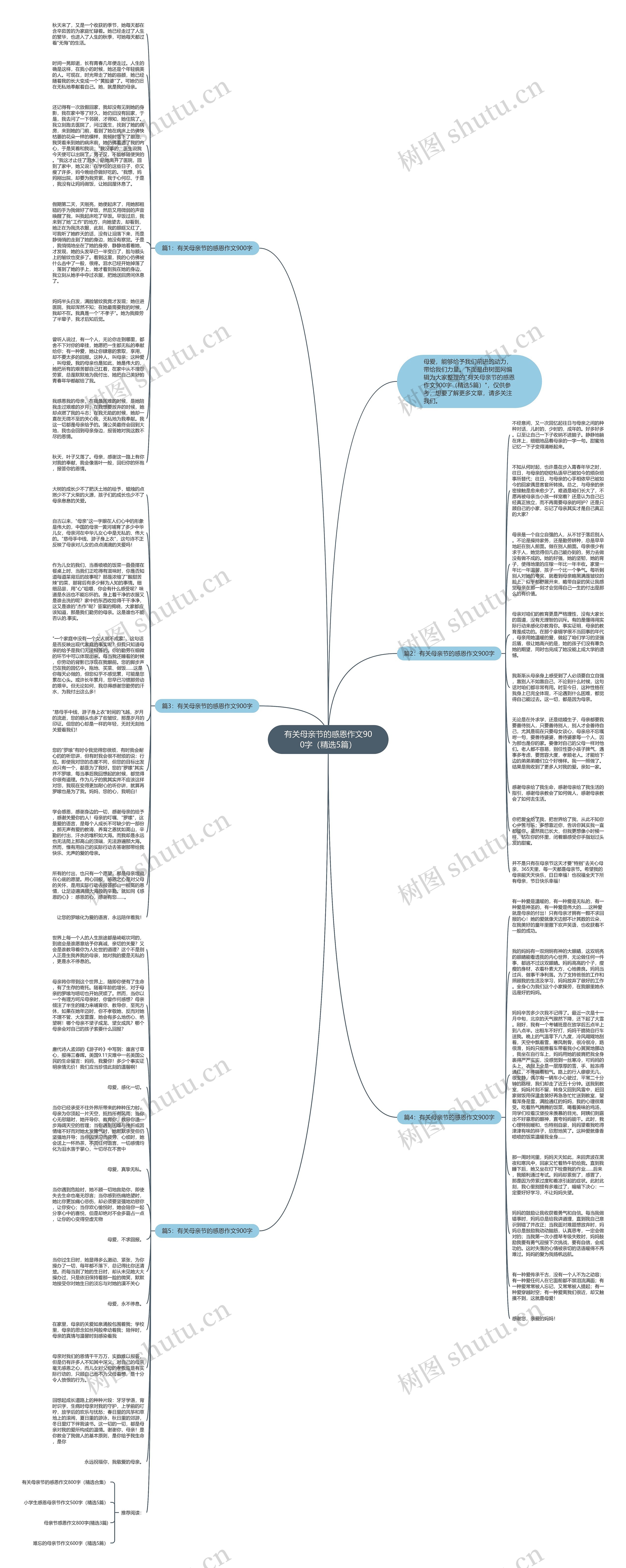 有关母亲节的感恩作文900字（精选5篇）思维导图