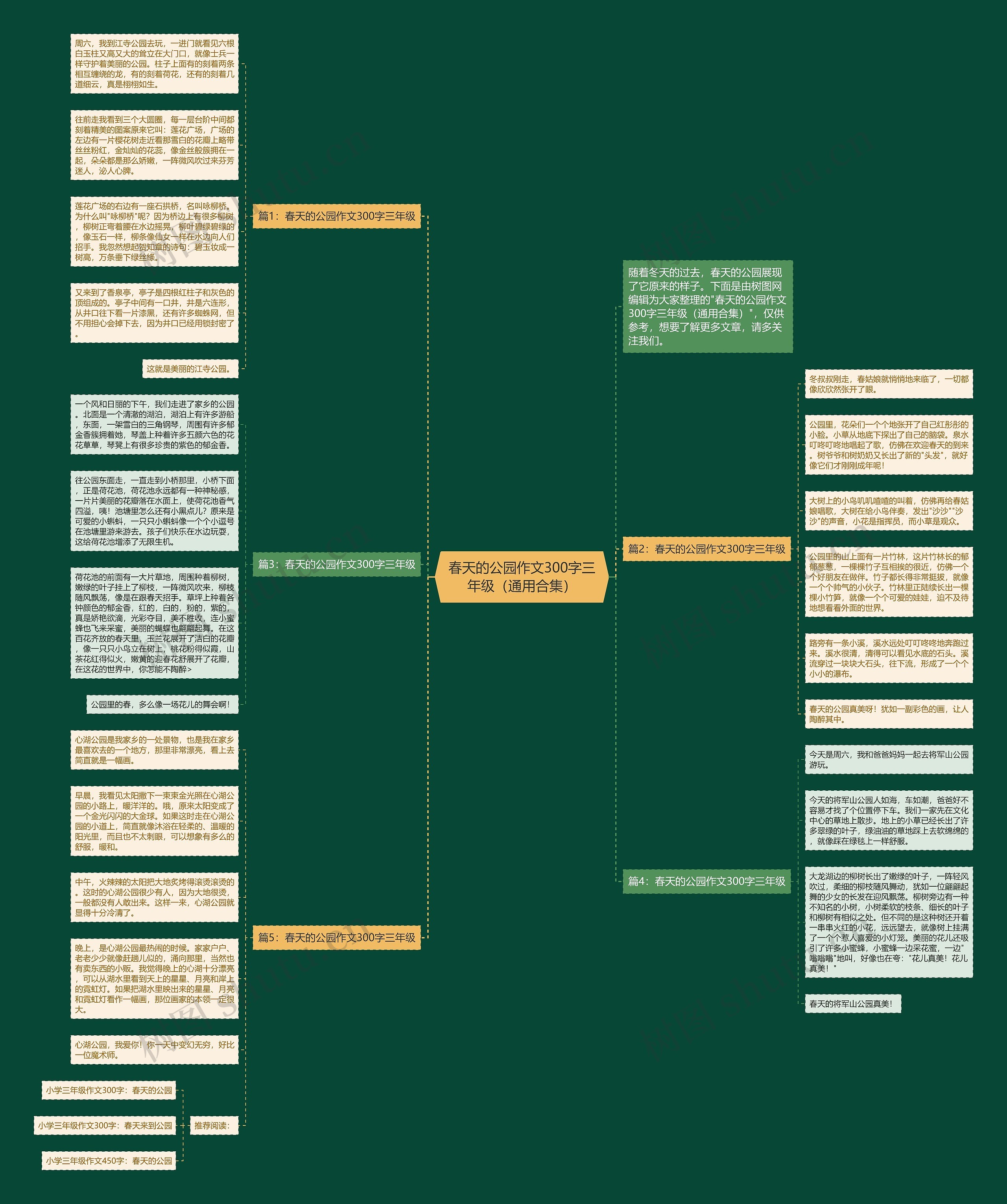 春天的公园作文300字三年级（通用合集）思维导图