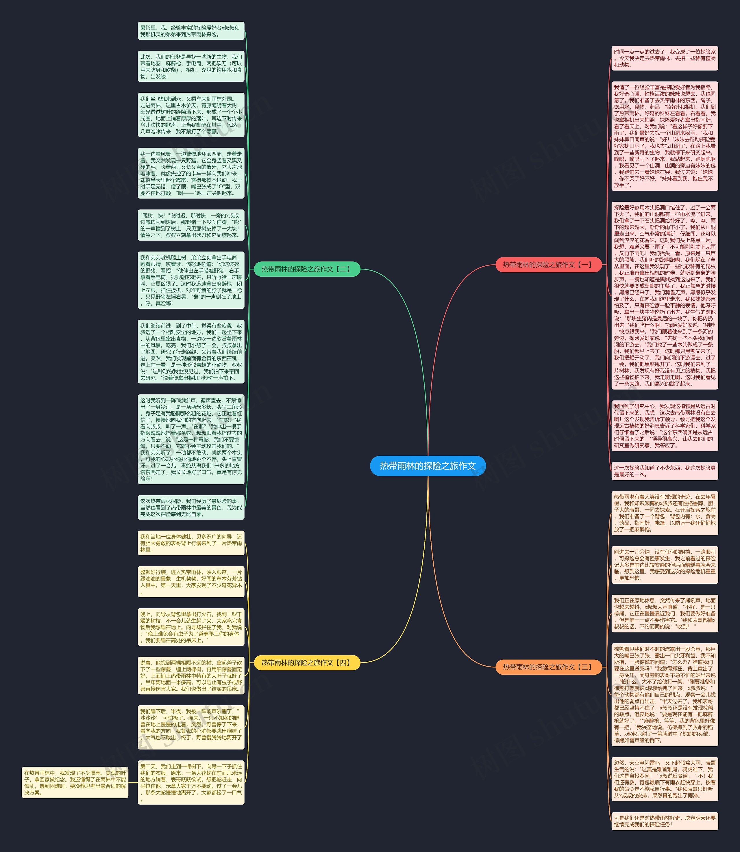 热带雨林的探险之旅作文思维导图