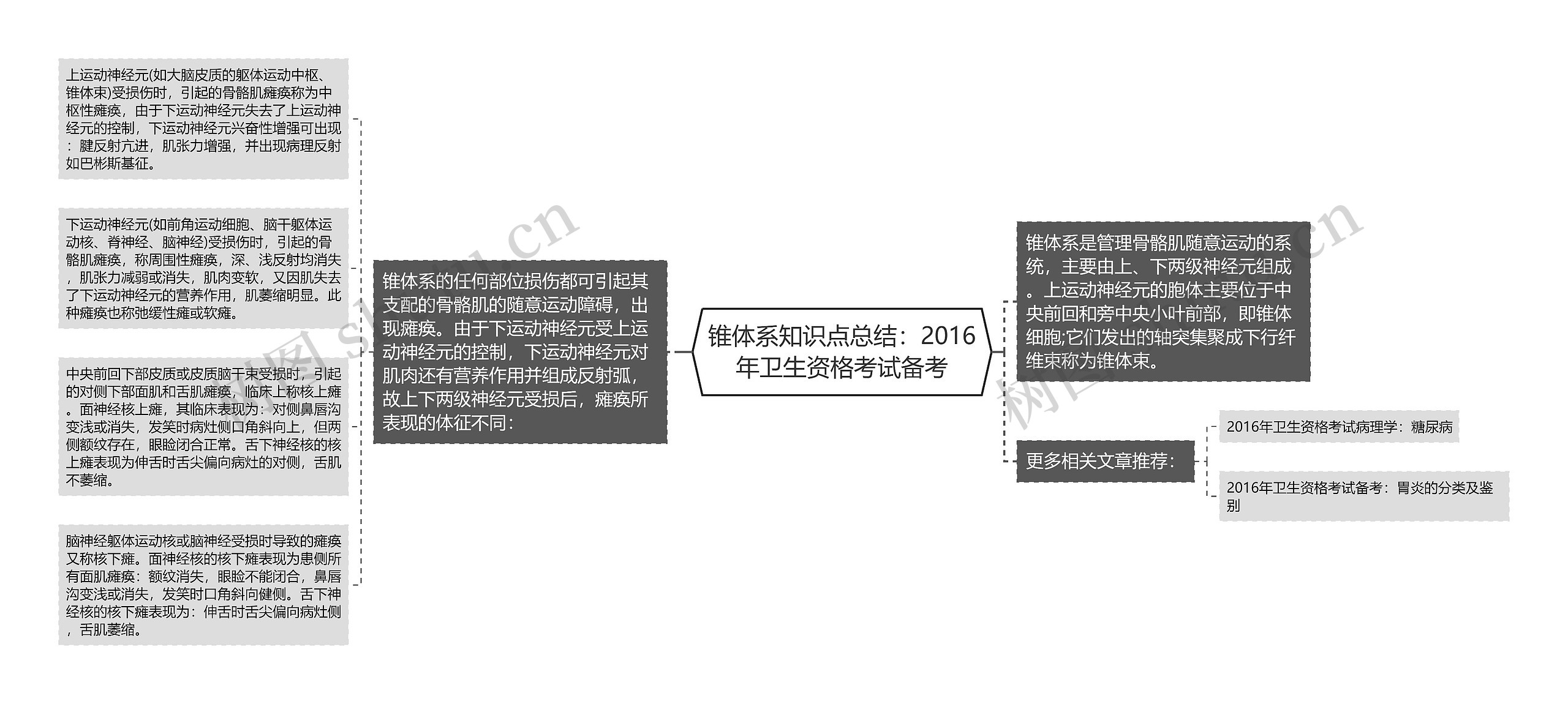 锥体系知识点总结：2016年卫生资格考试备考思维导图