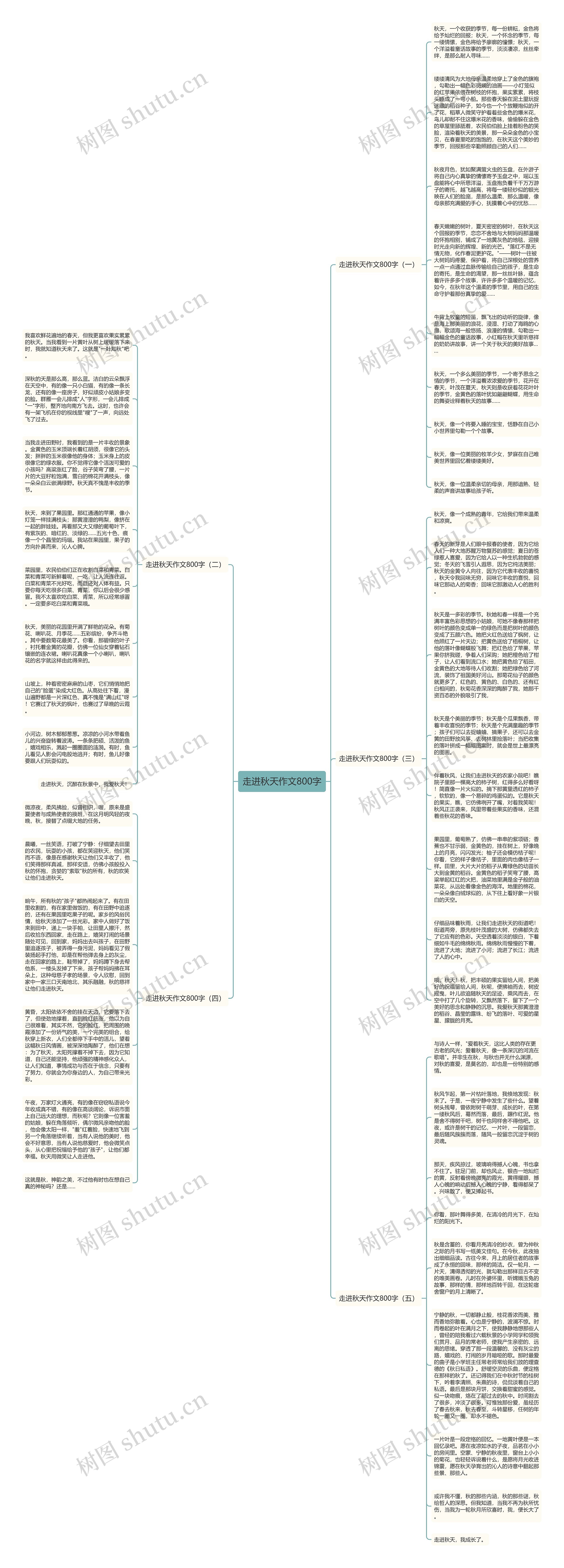 走进秋天作文800字思维导图