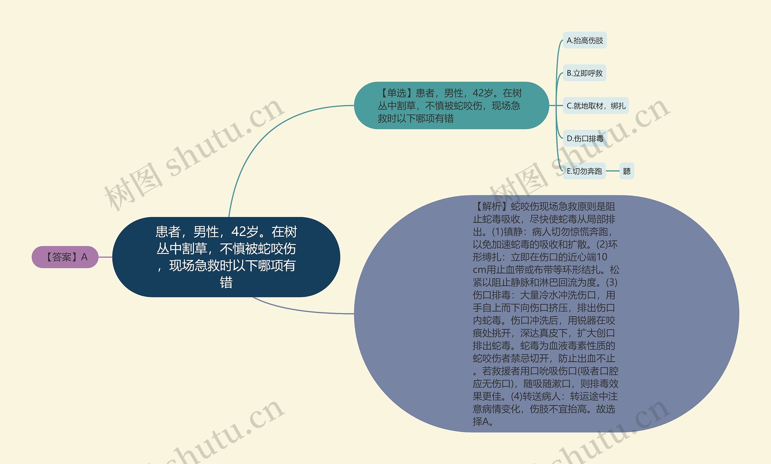 患者，男性，42岁。在树丛中割草，不慎被蛇咬伤，现场急救时以下哪项有错思维导图