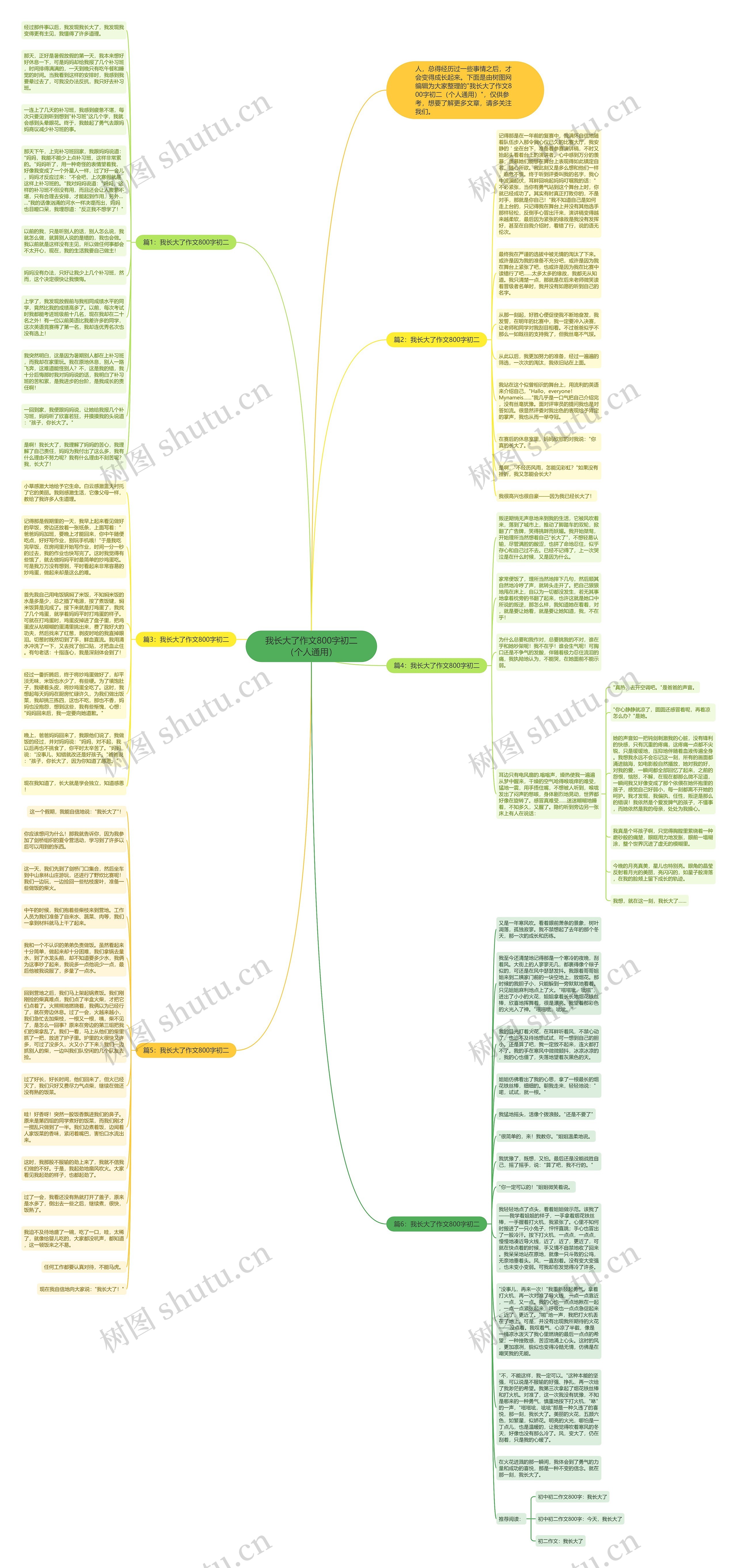 我长大了作文800字初二（个人通用）思维导图
