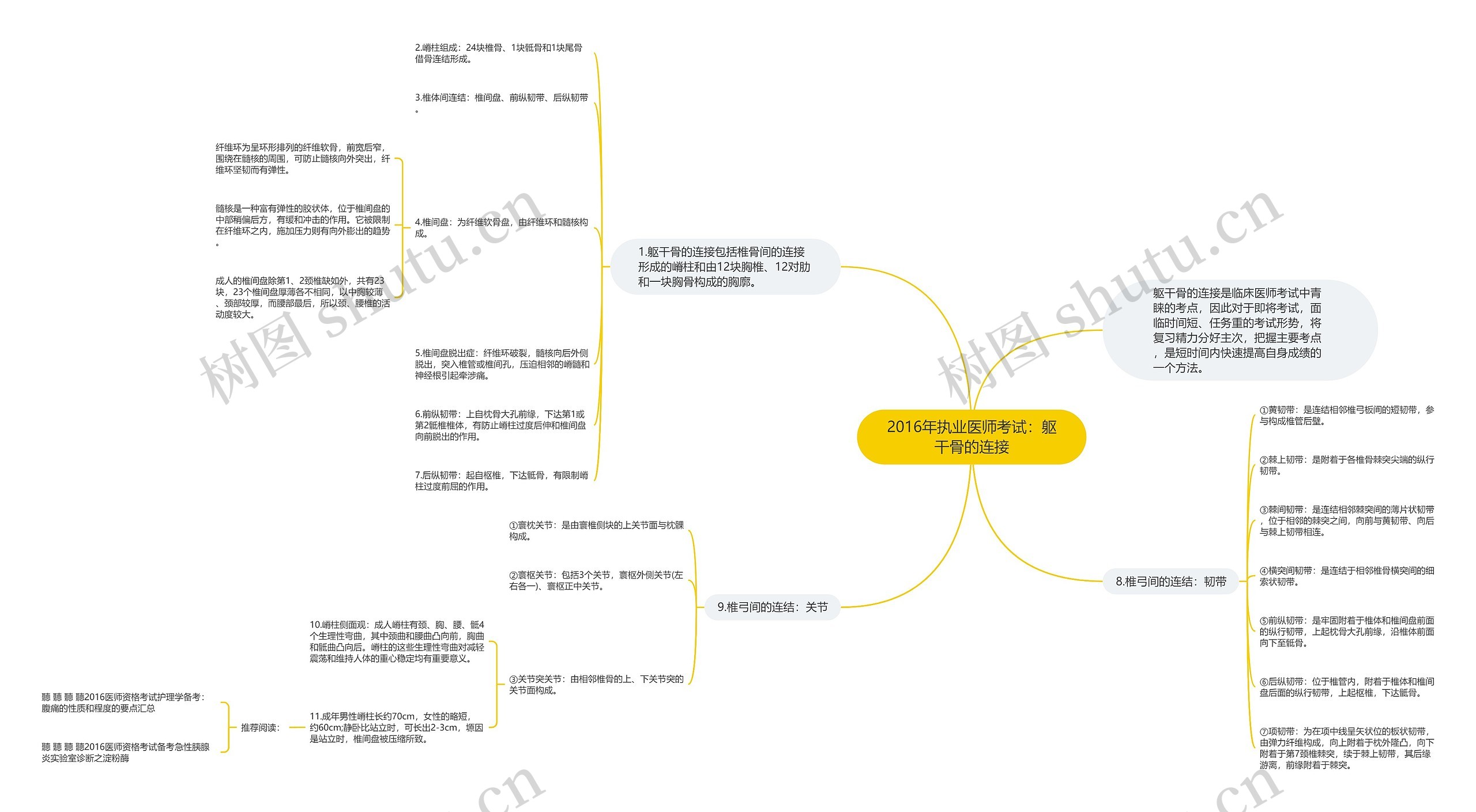 2016年执业医师考试：躯干骨的连接思维导图