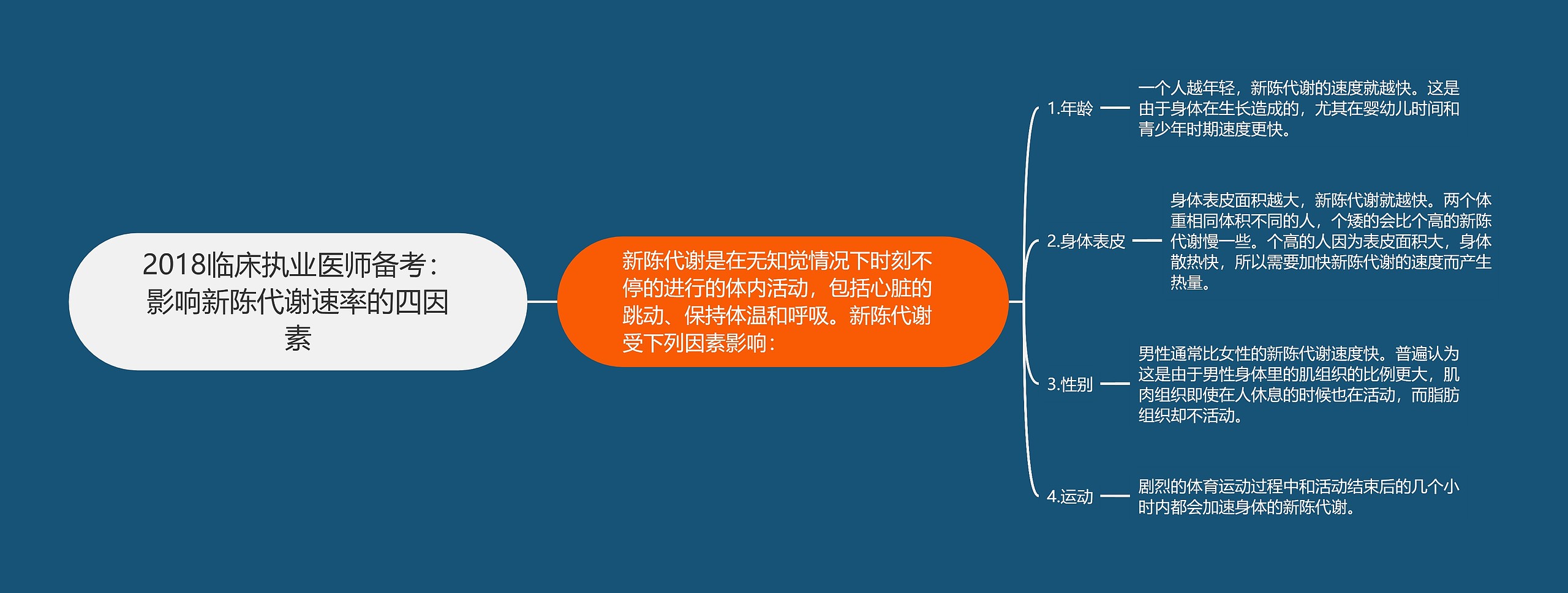 2018临床执业医师备考：影响新陈代谢速率的四因素思维导图