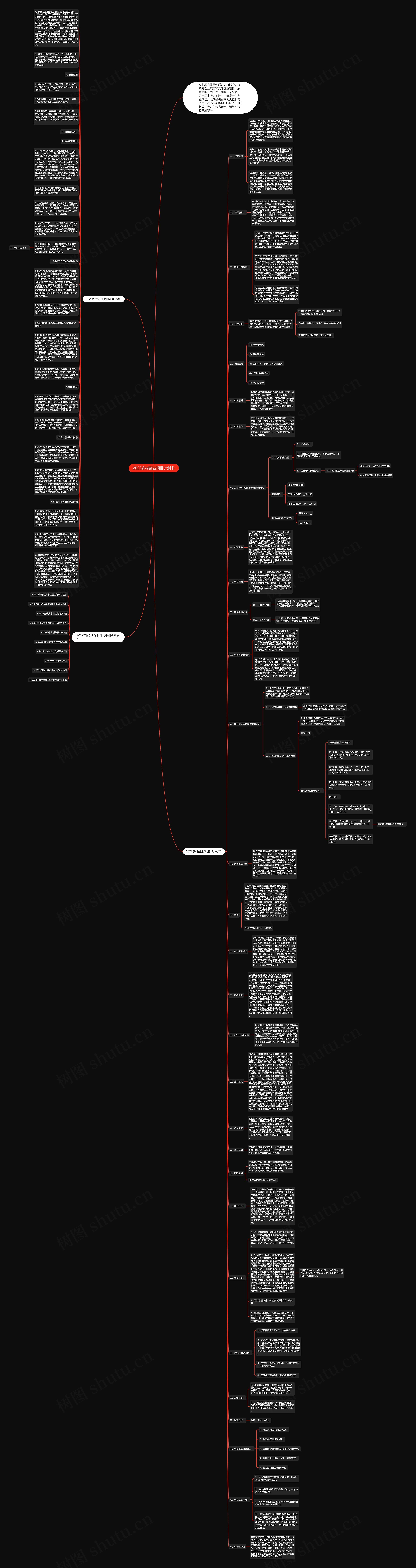 2022农村创业项目计划书思维导图