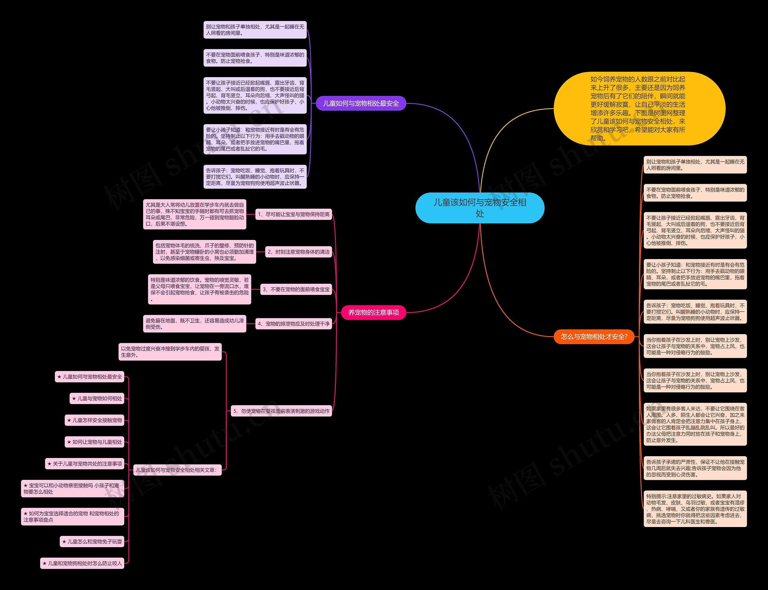 儿童该如何与宠物安全相处思维导图