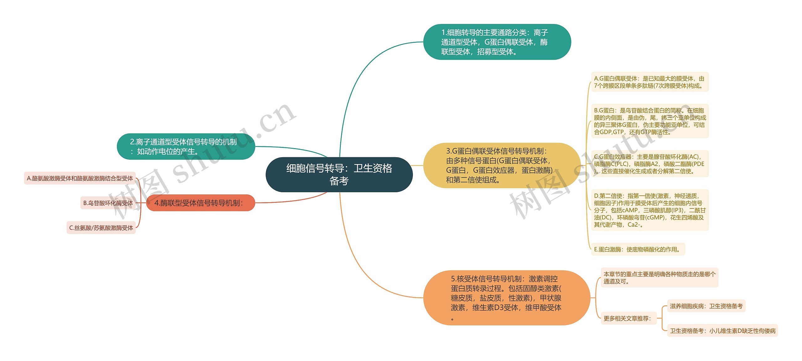 细胞信号转导：卫生资格备考思维导图