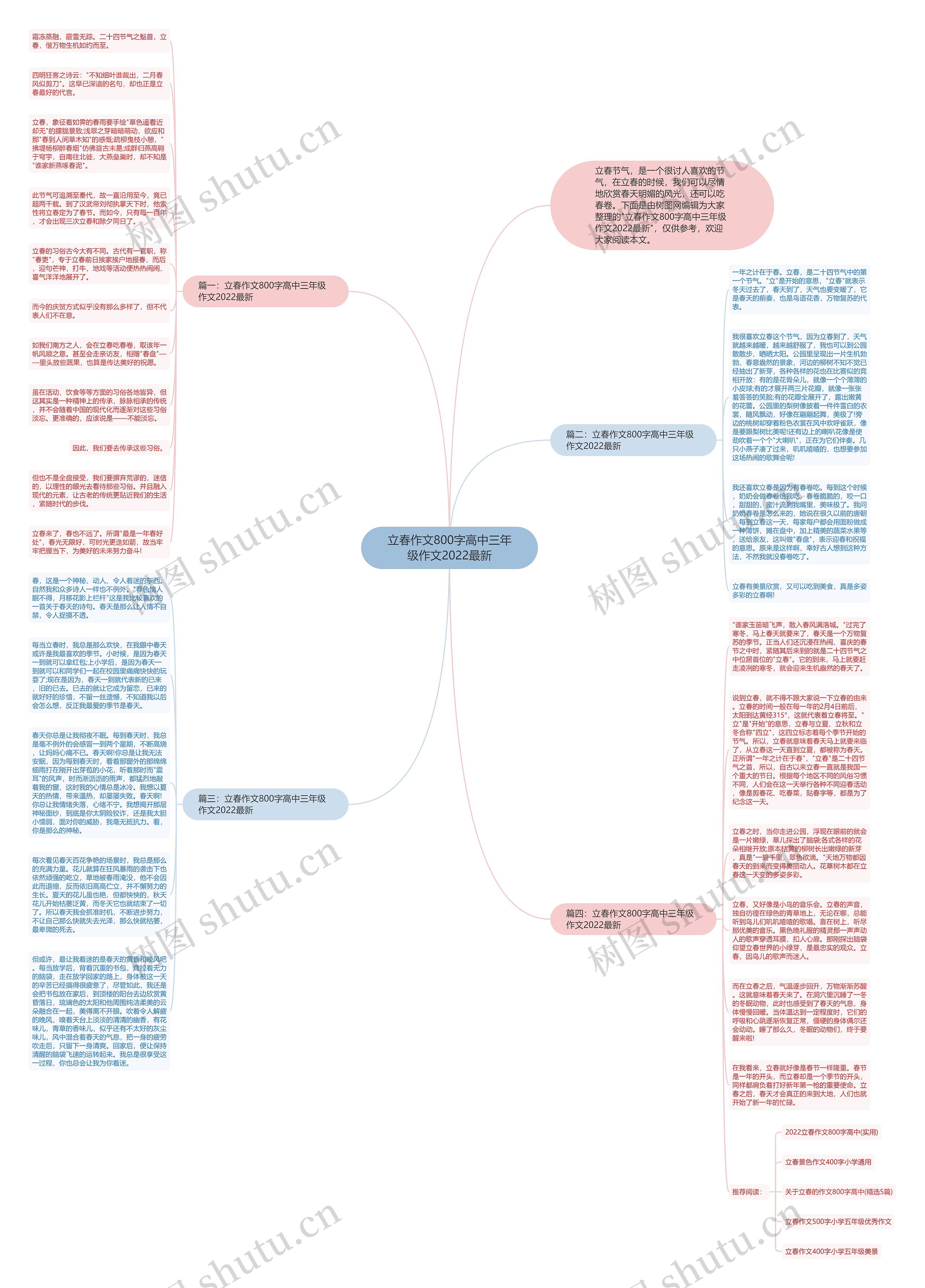 立春作文800字高中三年级作文2022最新思维导图