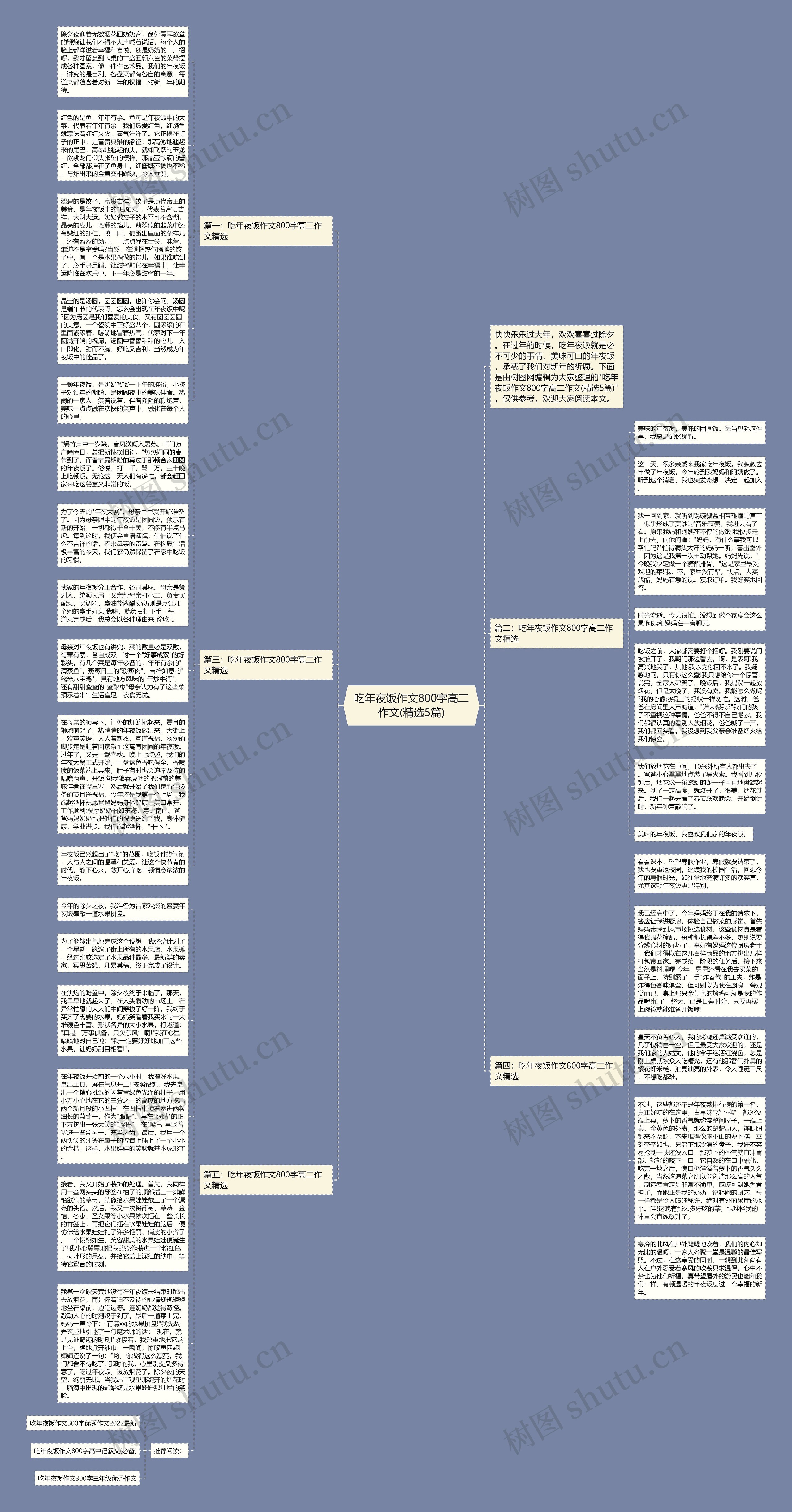 吃年夜饭作文800字高二作文(精选5篇)思维导图