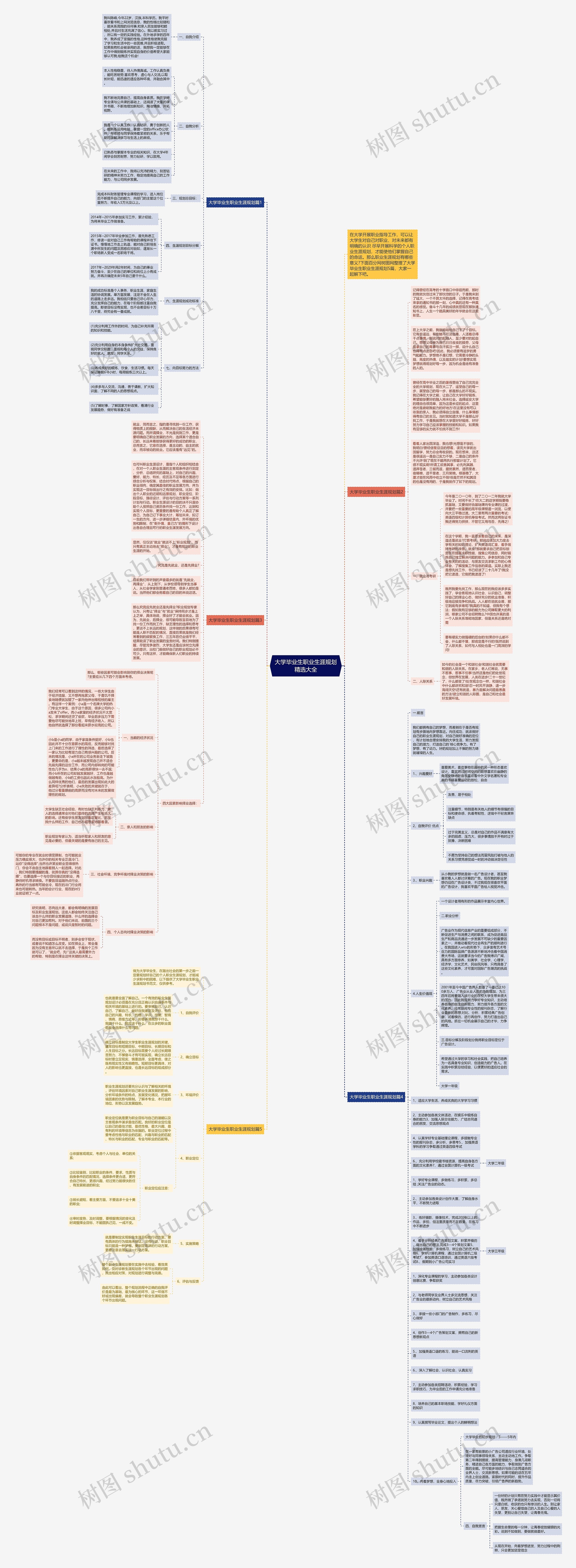 大学毕业生职业生涯规划精选大全思维导图