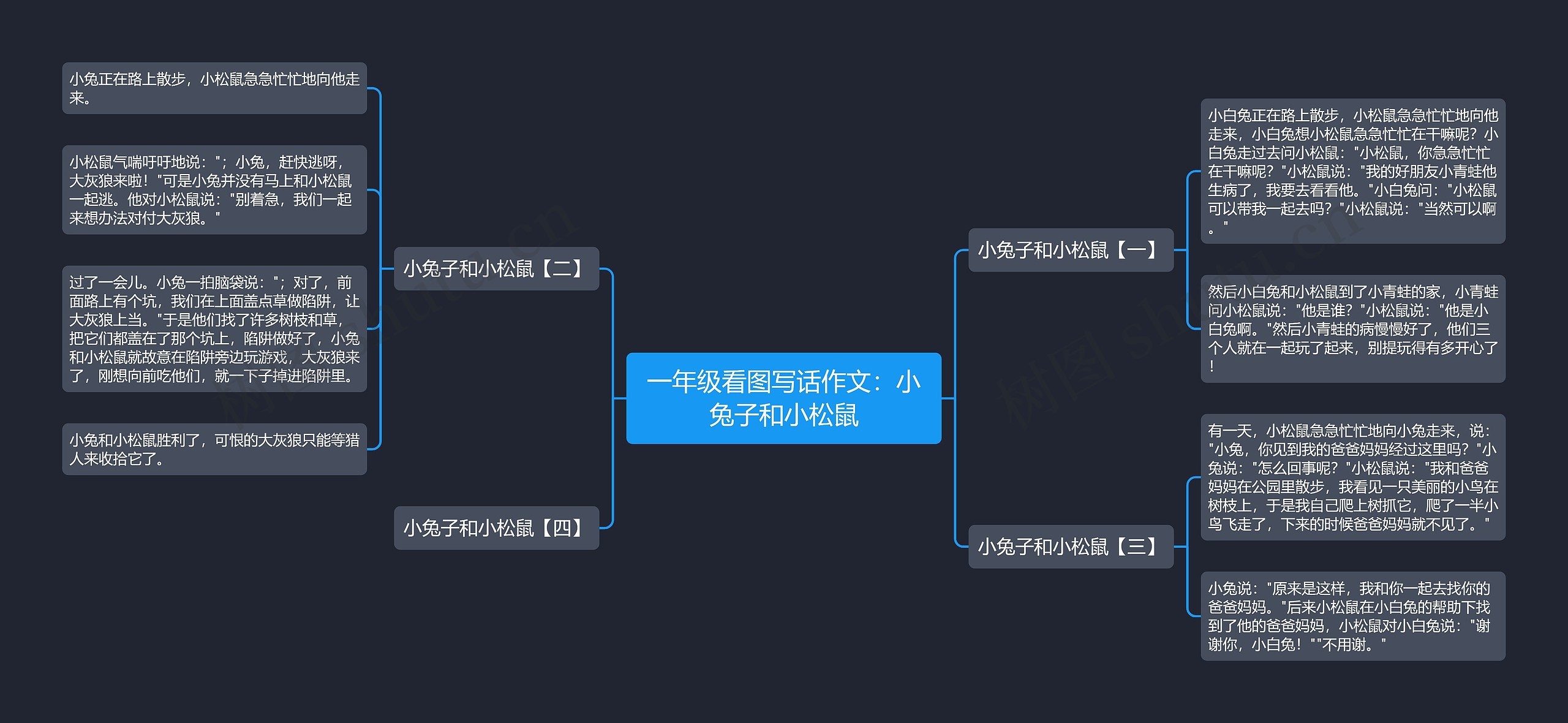 一年级看图写话作文：小兔子和小松鼠思维导图