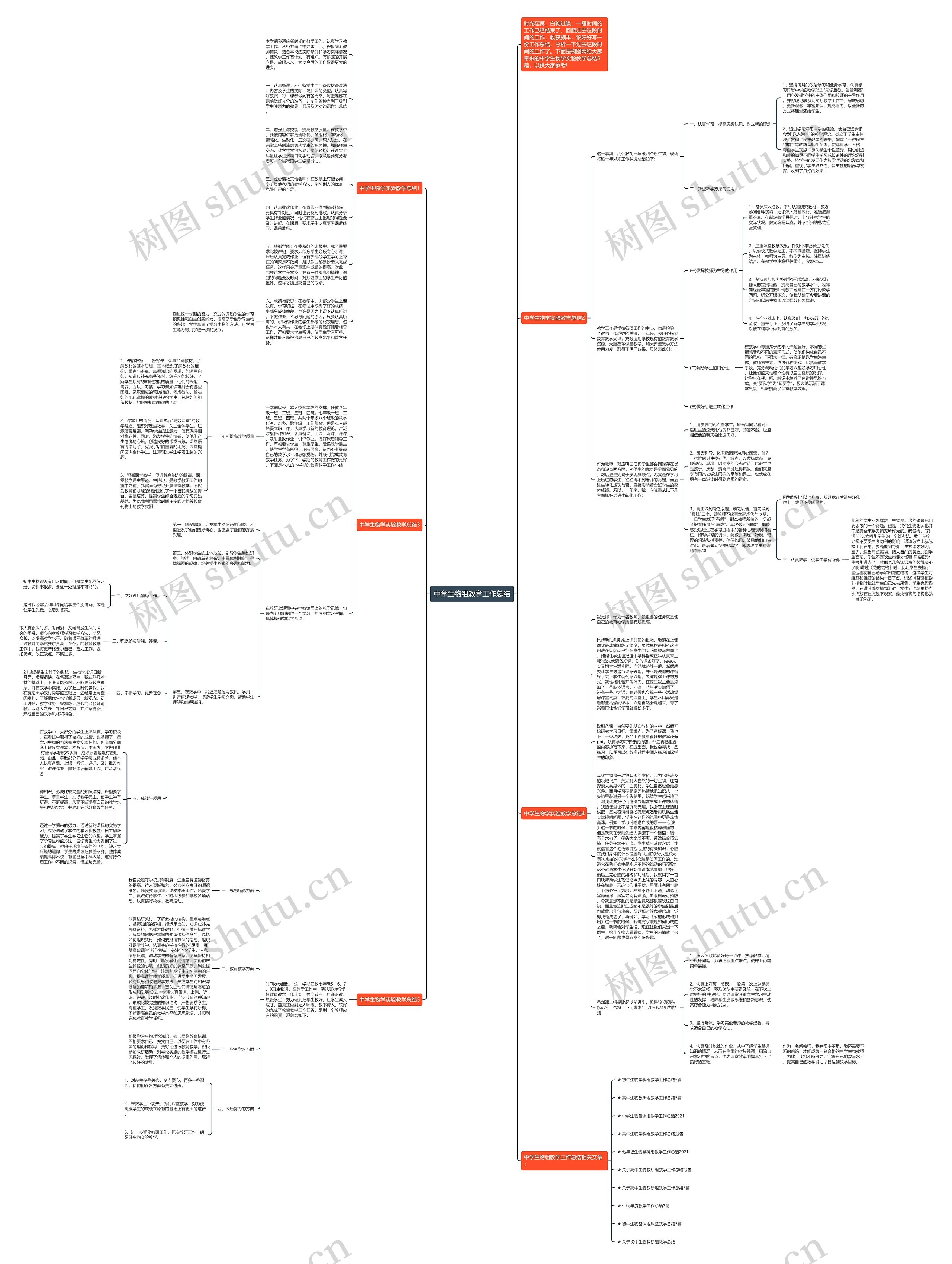中学生物组教学工作总结思维导图