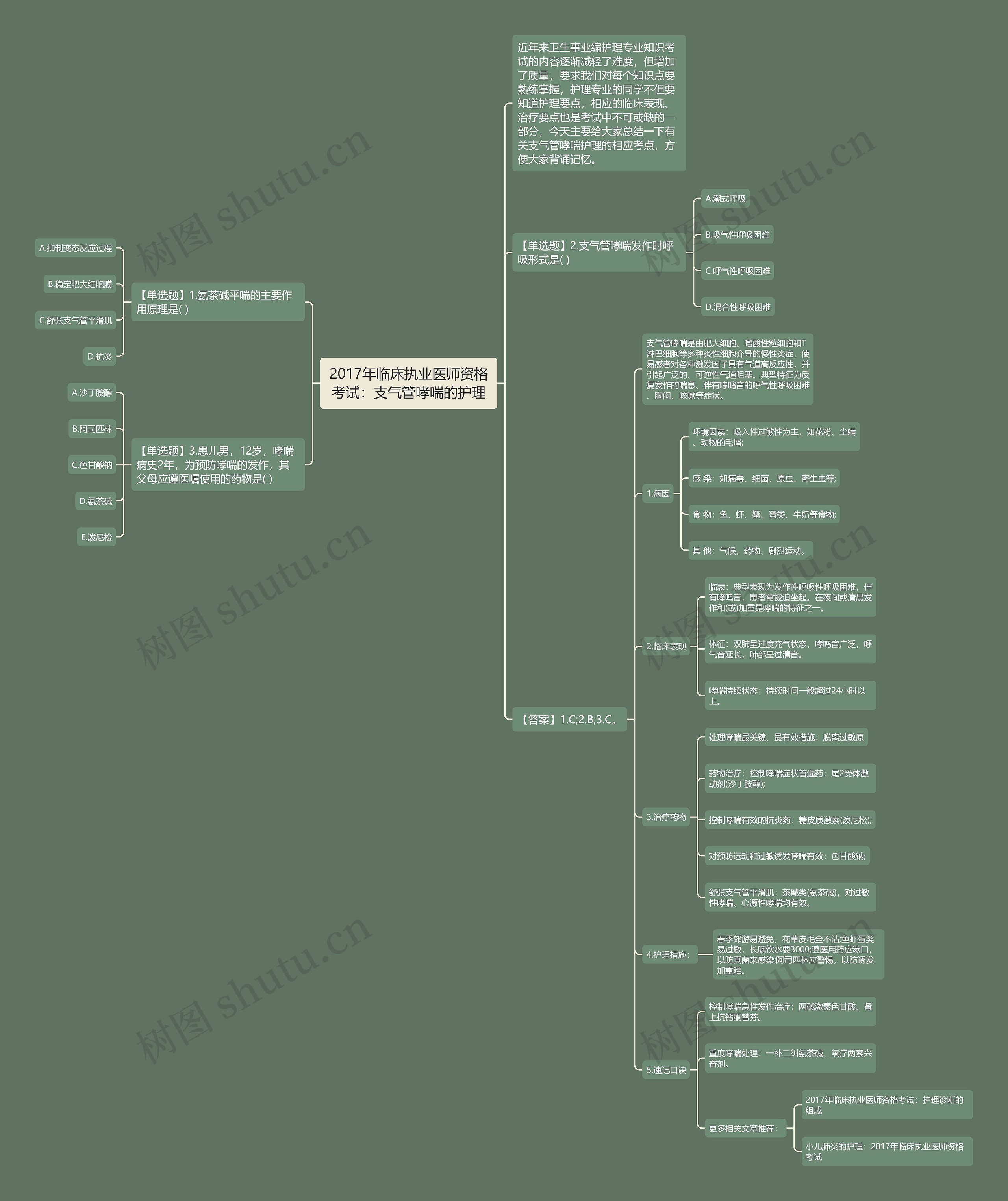 2017年临床执业医师资格考试：支气管哮喘的护理思维导图