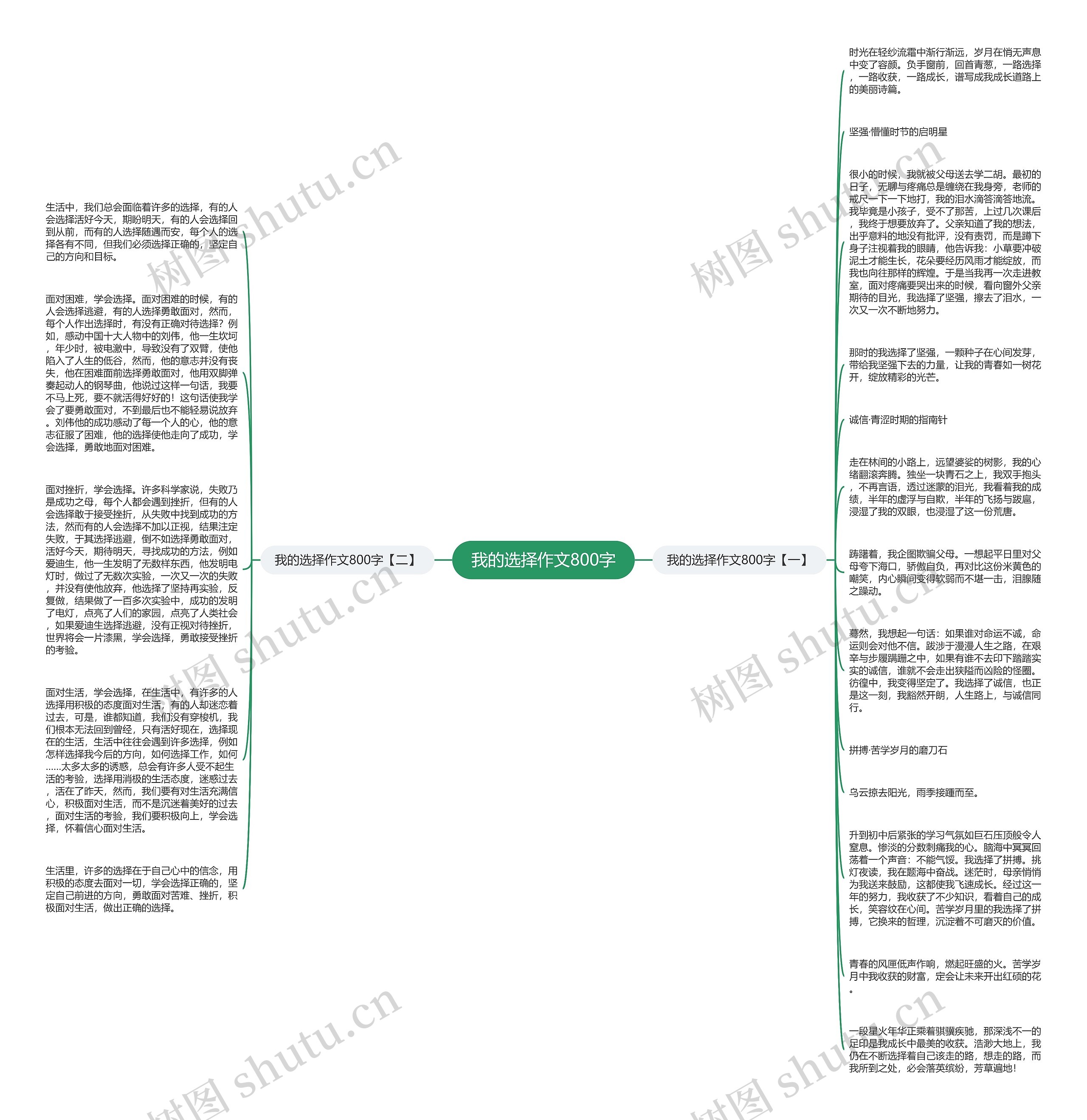 我的选择作文800字思维导图