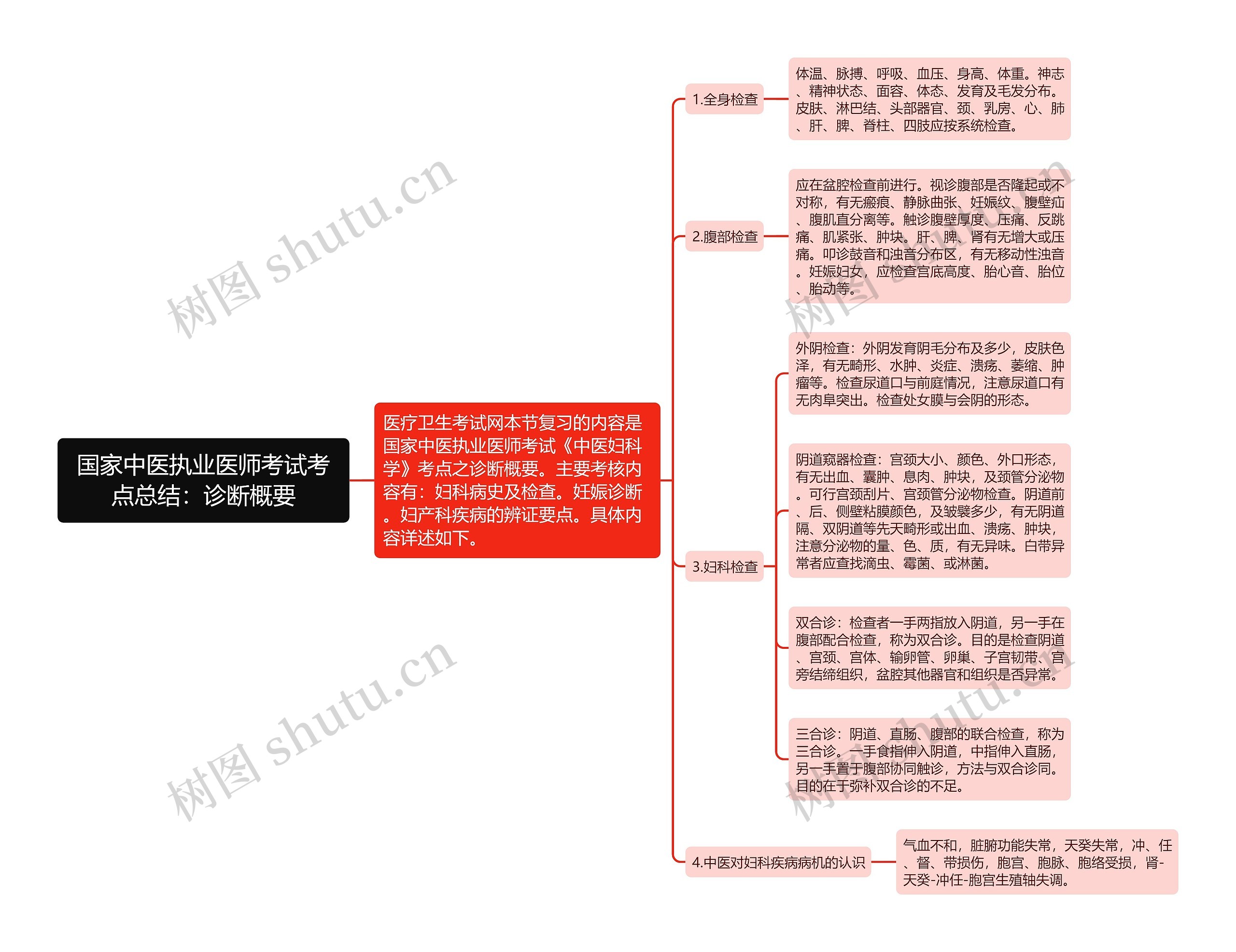 国家中医执业医师考试考点总结：诊断概要思维导图