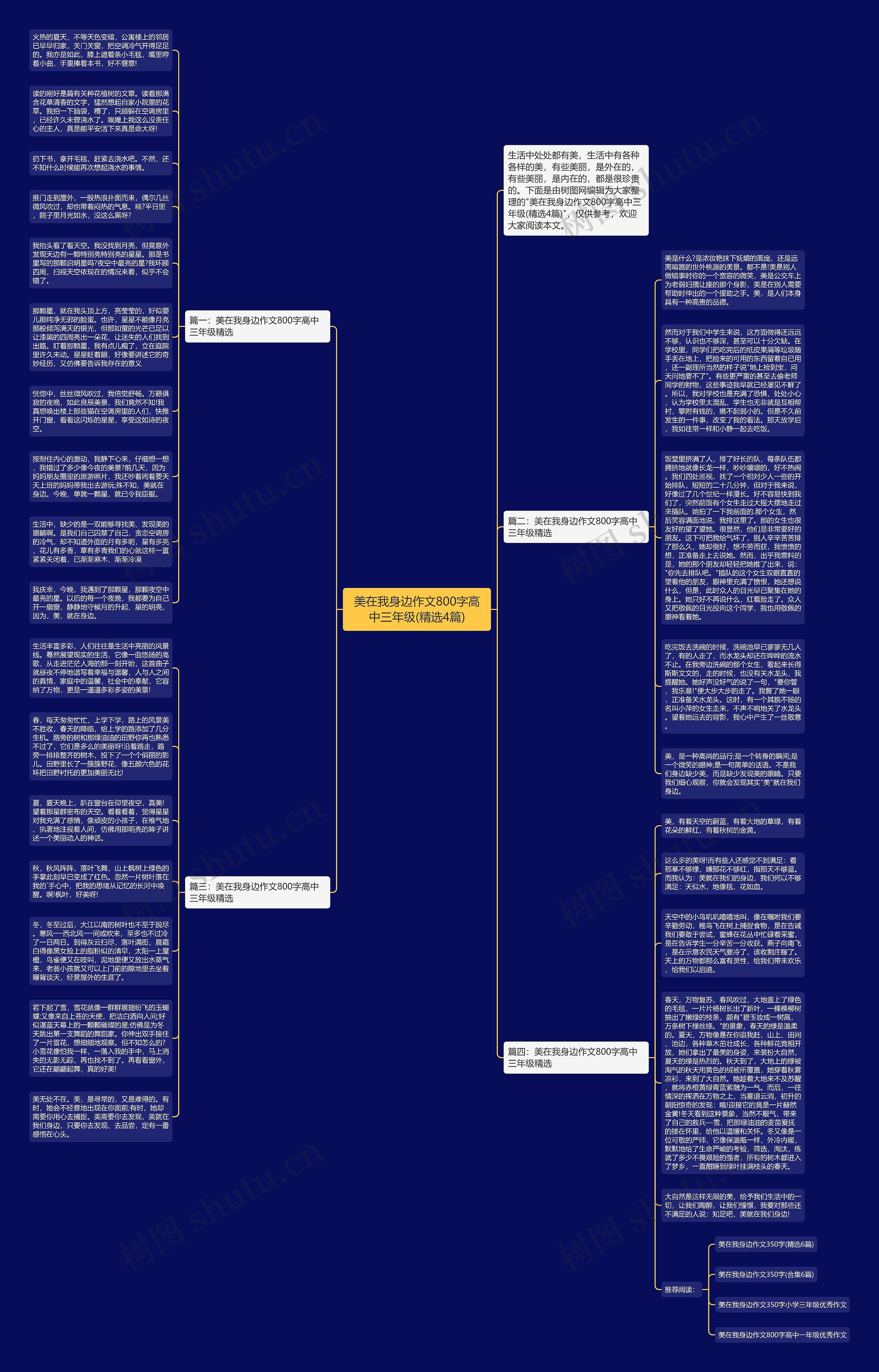 美在我身边作文800字高中三年级(精选4篇)思维导图