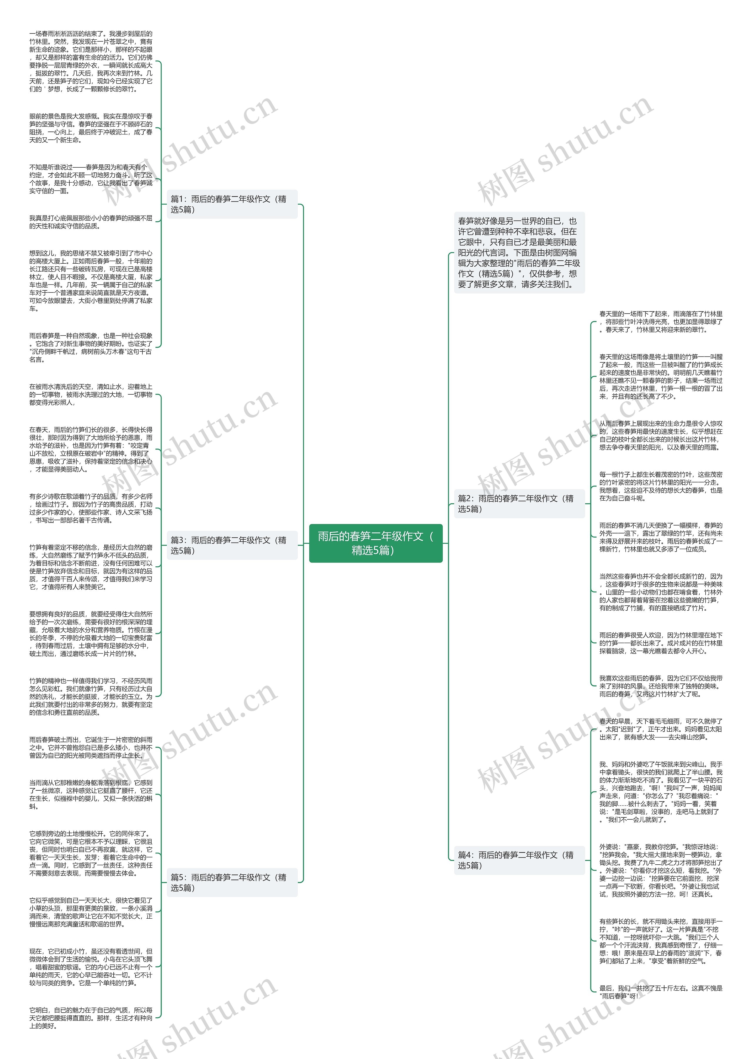 雨后的春笋二年级作文（精选5篇）思维导图