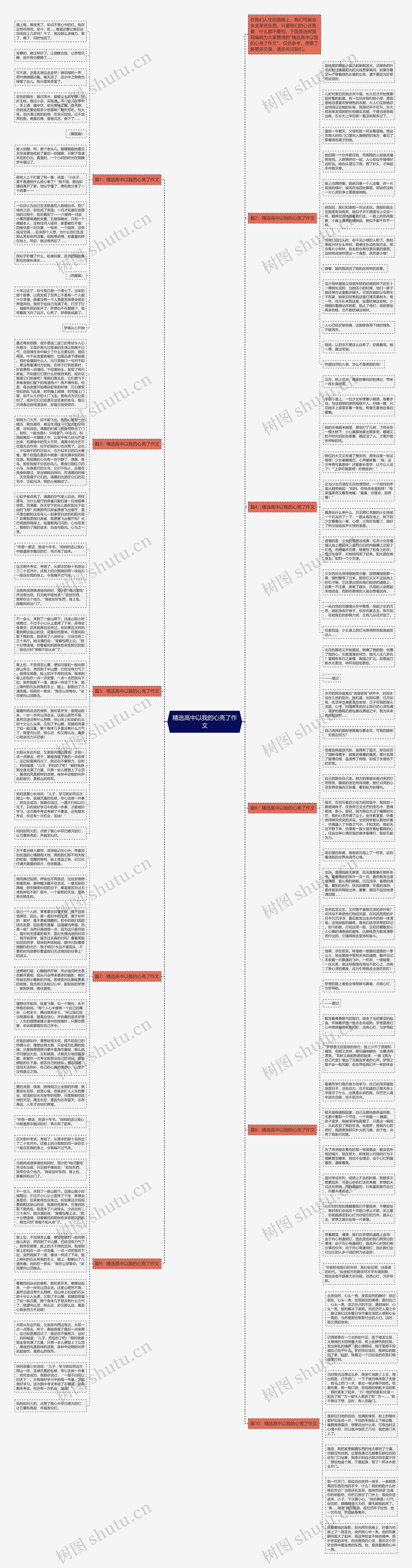 精选高中以我的心亮了作文思维导图