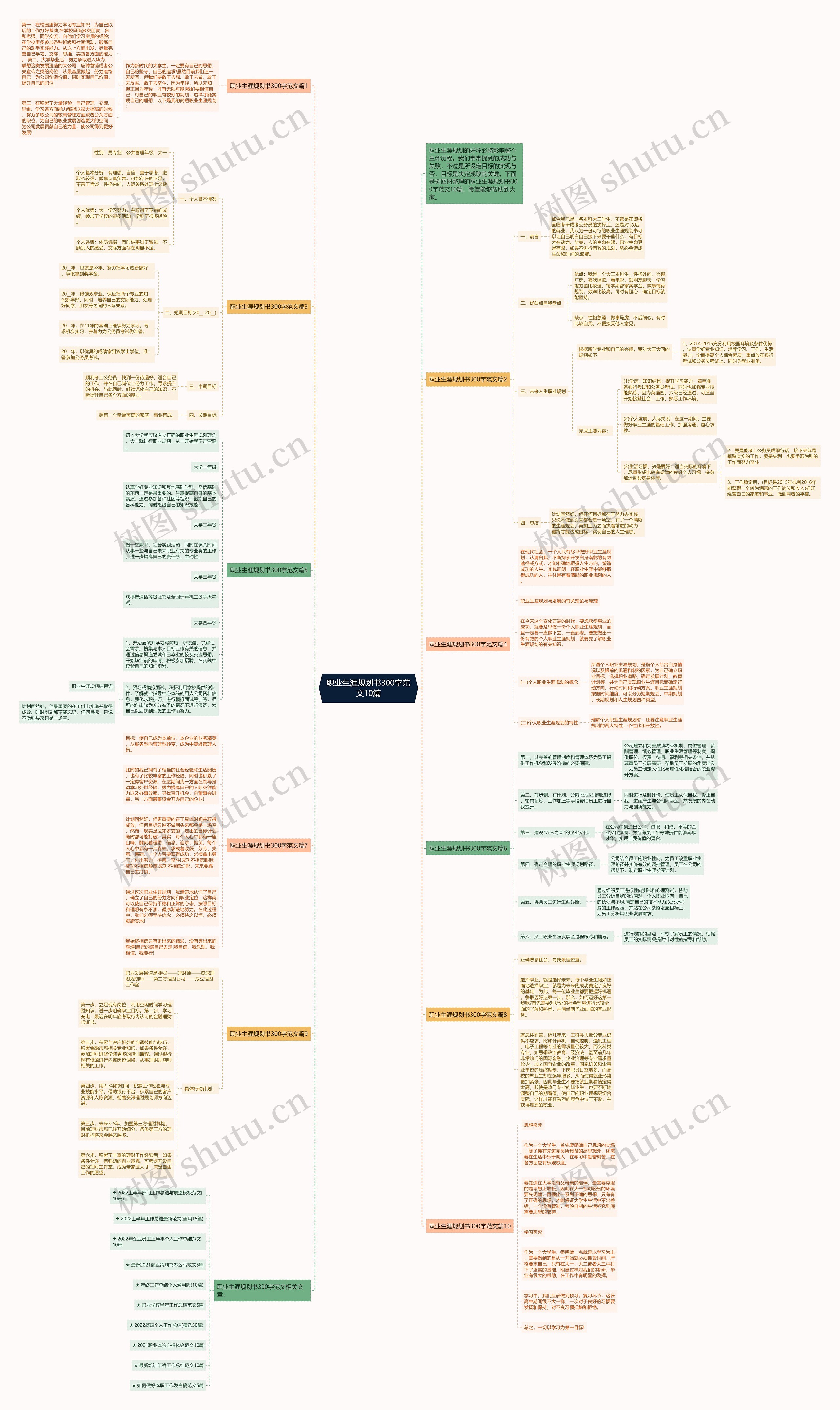 职业生涯规划书300字范文10篇思维导图