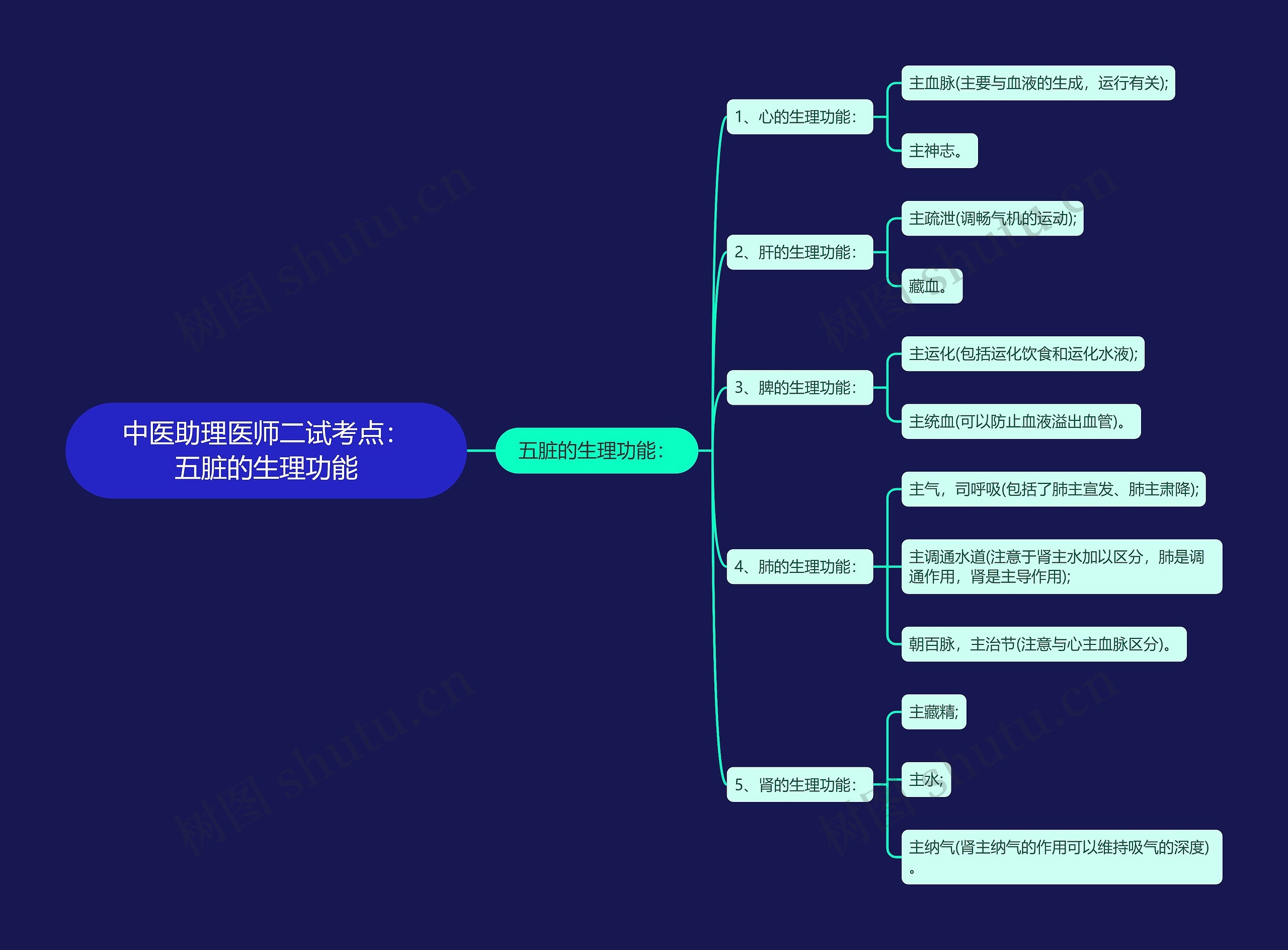 中医助理医师二试考点：五脏的生理功能