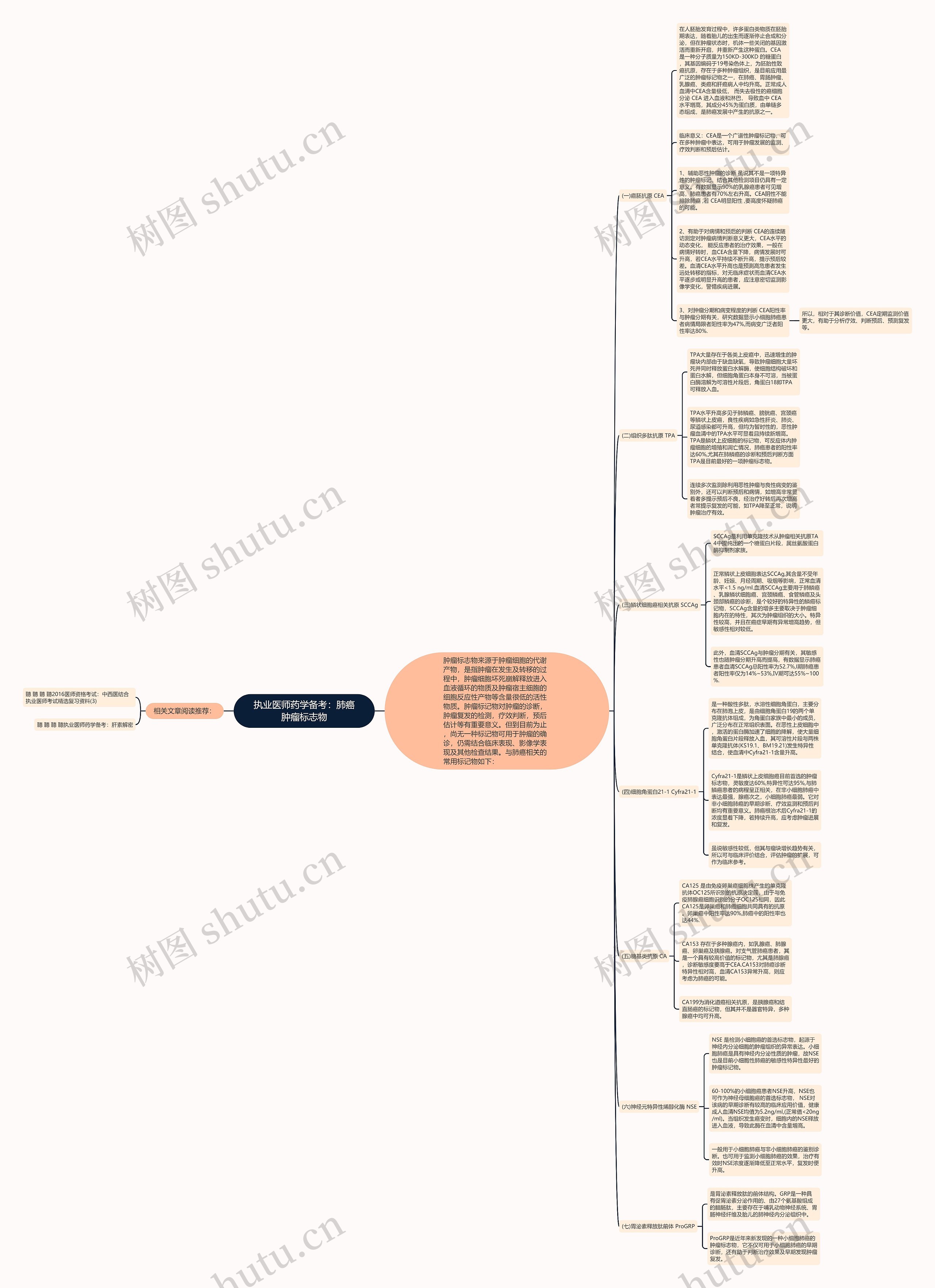 执业医师药学备考：肺癌肿瘤标志物思维导图