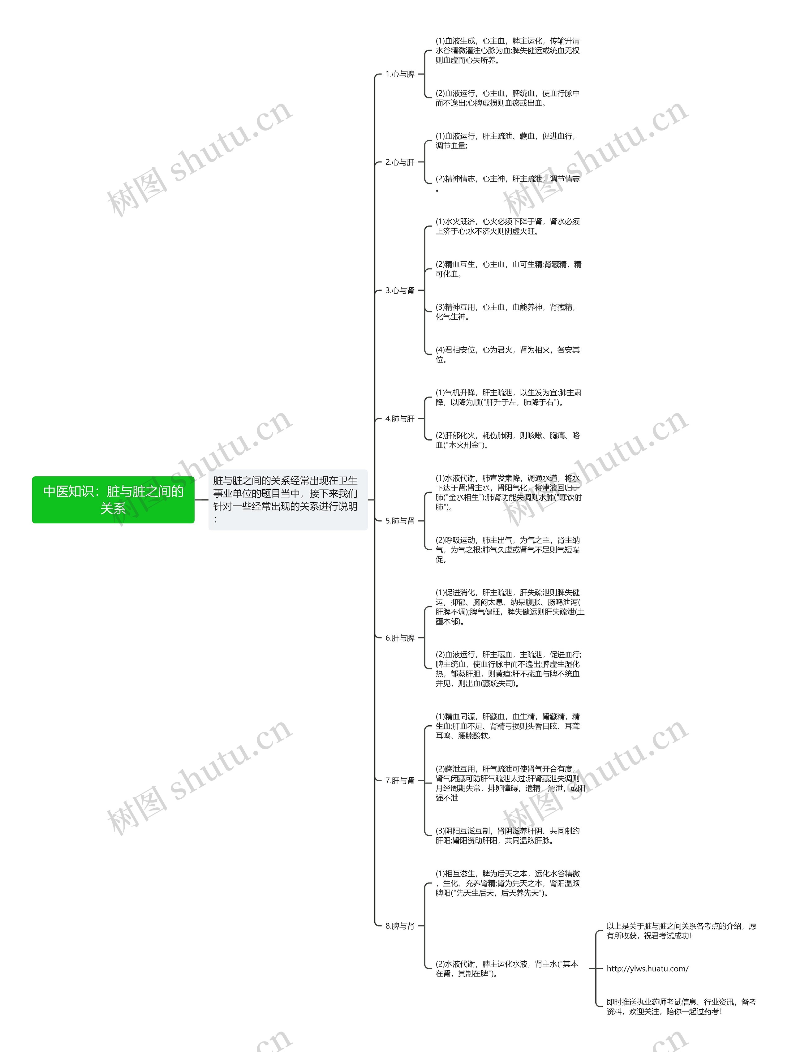 中医知识：脏与脏之间的关系思维导图