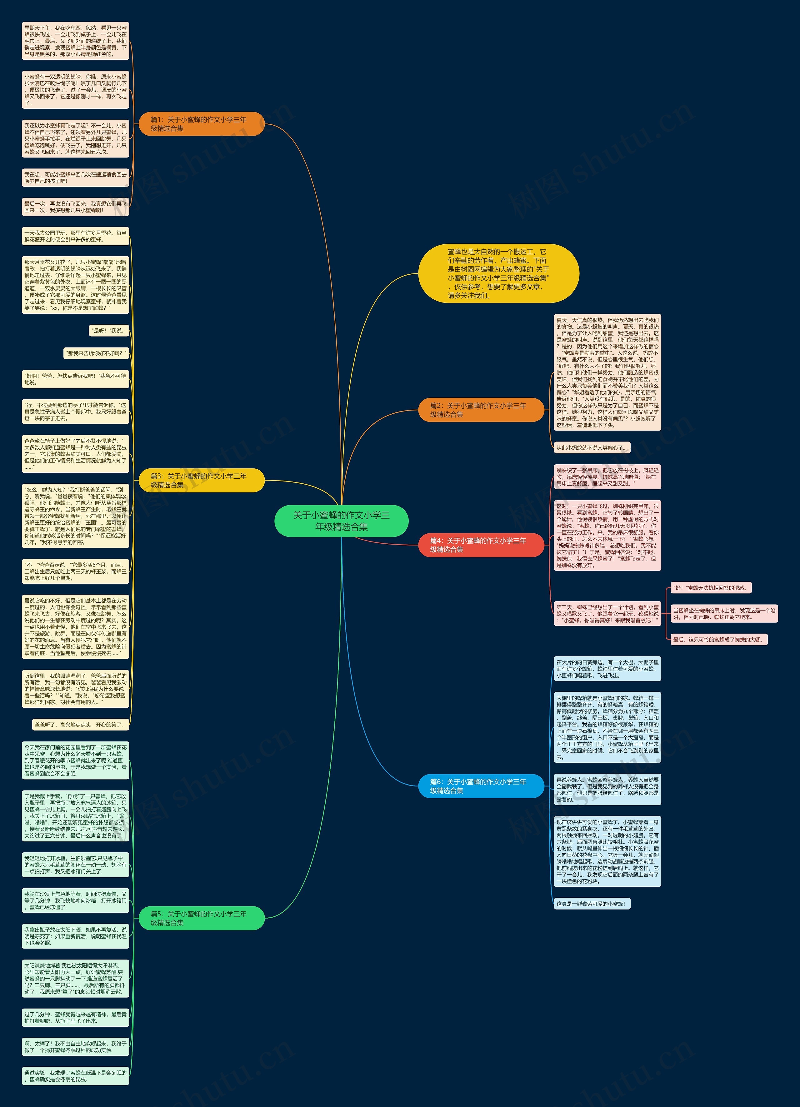 关于小蜜蜂的作文小学三年级精选合集思维导图