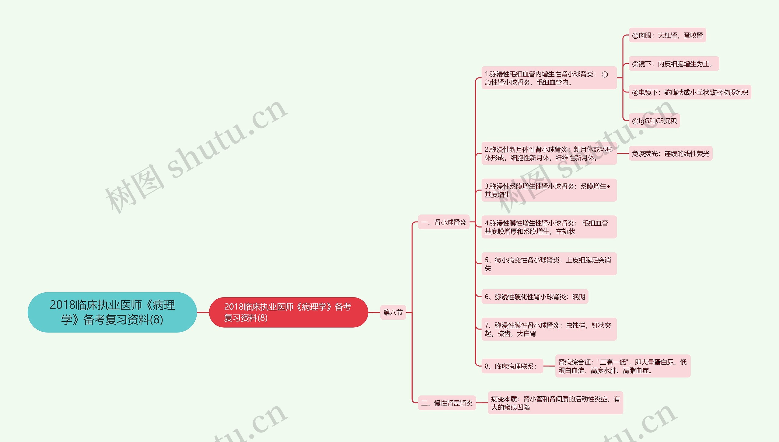 2018临床执业医师《病理学》备考复习资料(8)思维导图