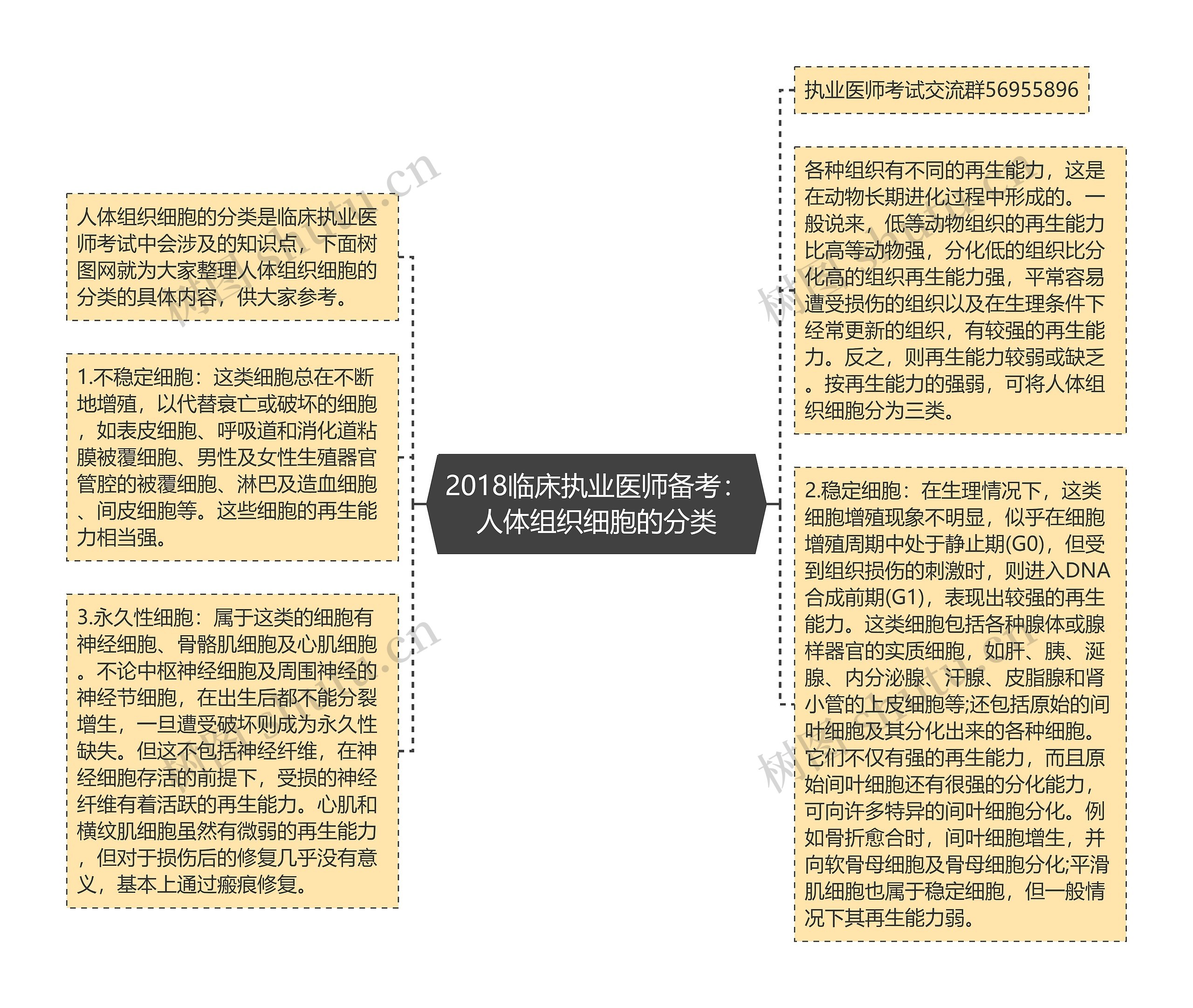 2018临床执业医师备考：人体组织细胞的分类