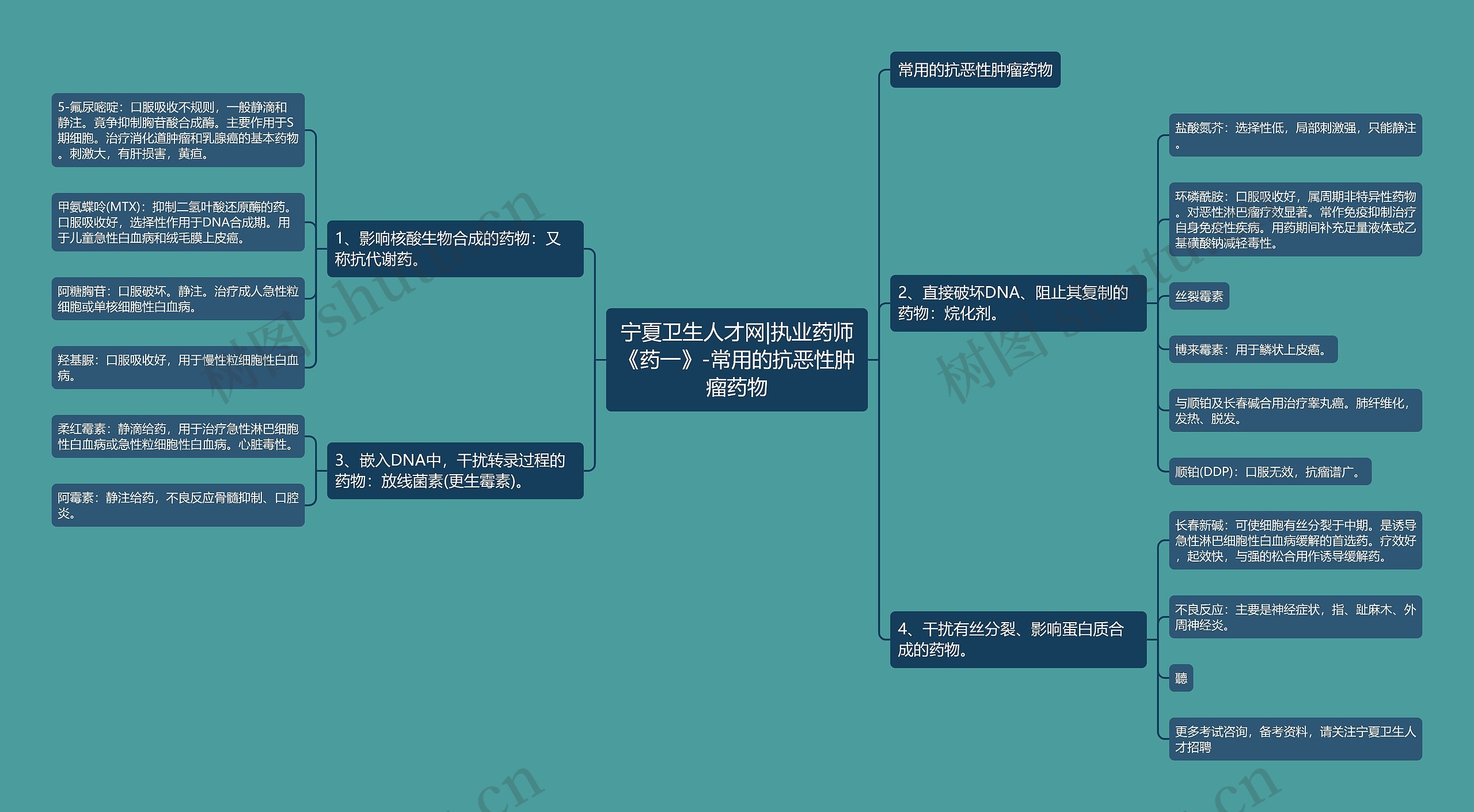 宁夏卫生人才网|执业药师《药一》-常用的抗恶性肿瘤药物思维导图