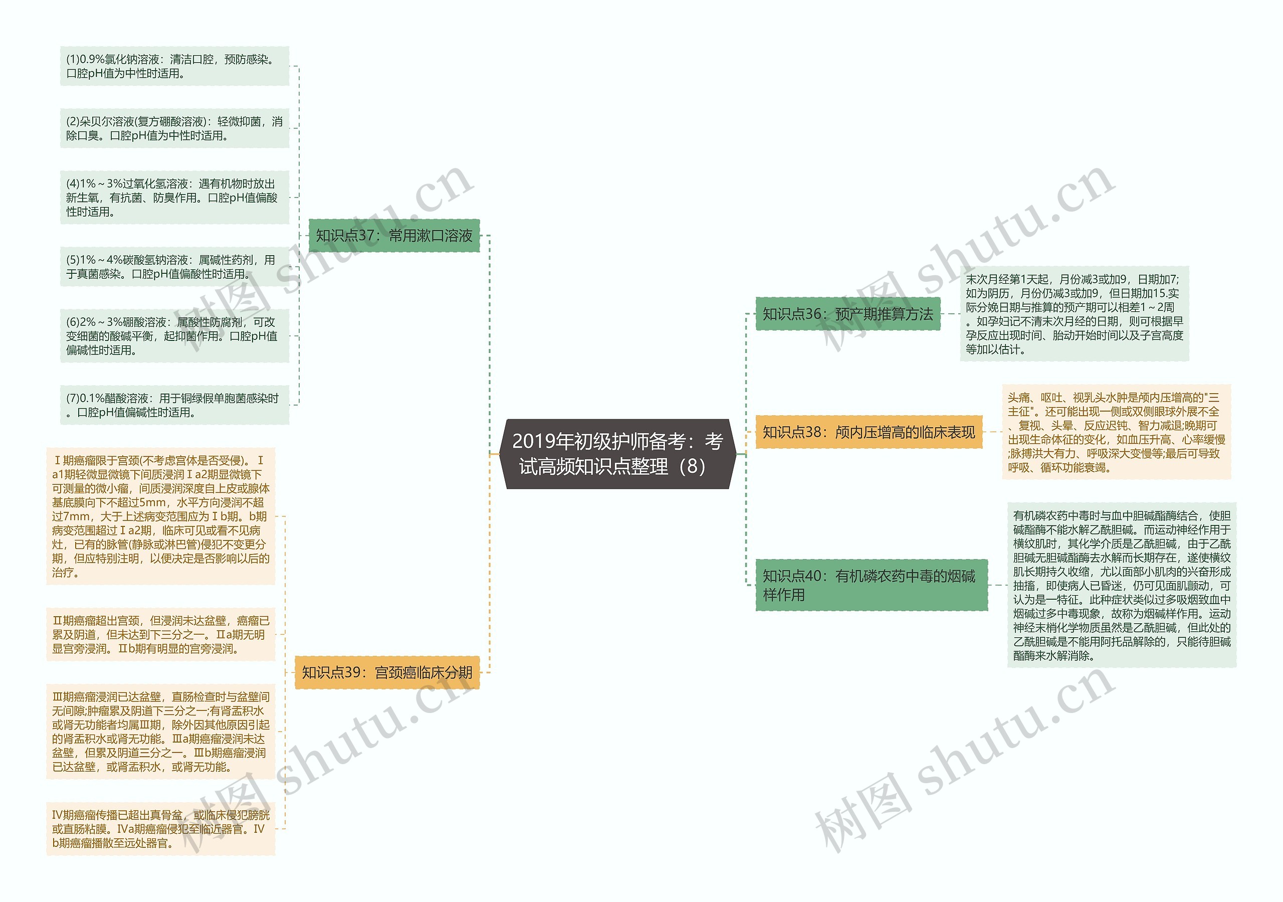 2019年初级护师备考：考试高频知识点整理（8）思维导图