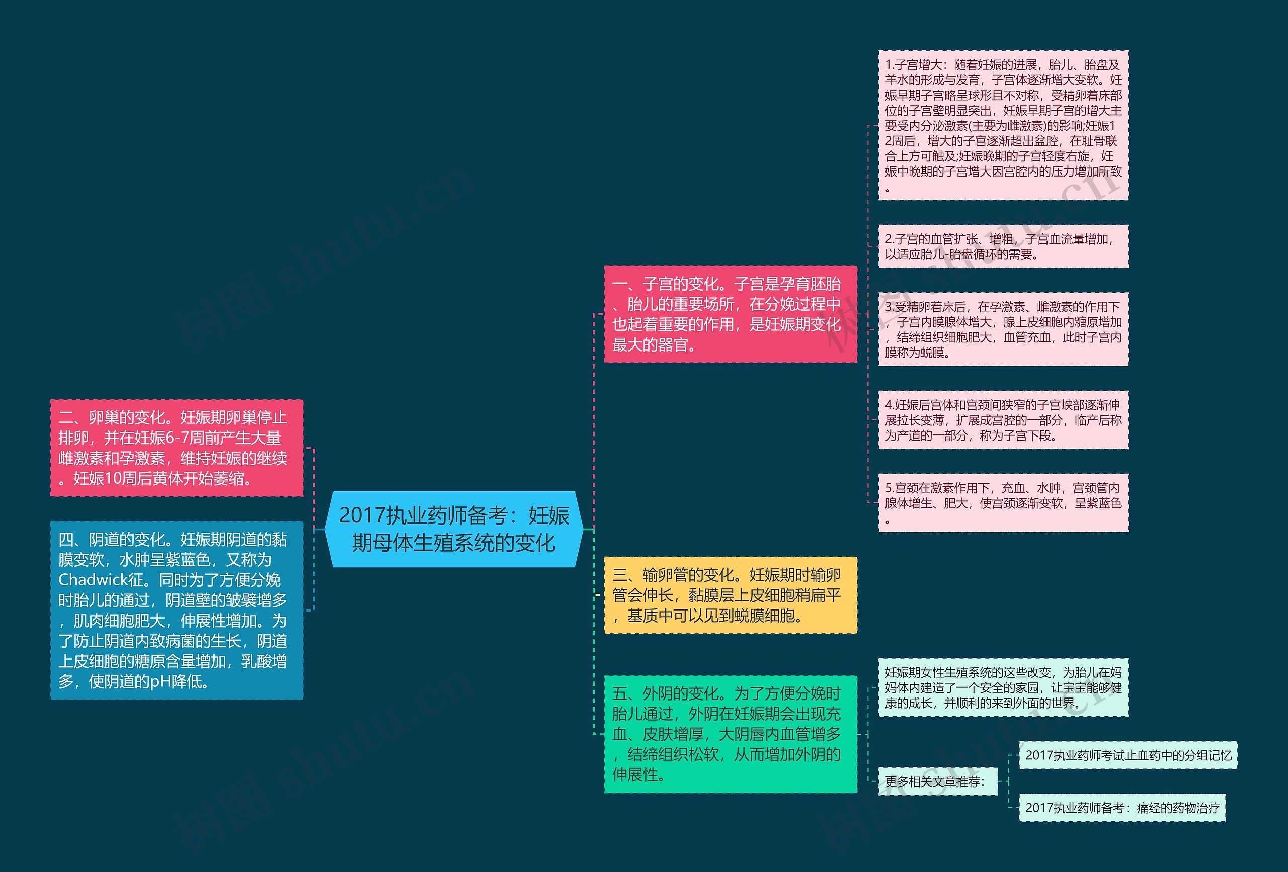 2017执业药师备考：妊娠期母体生殖系统的变化