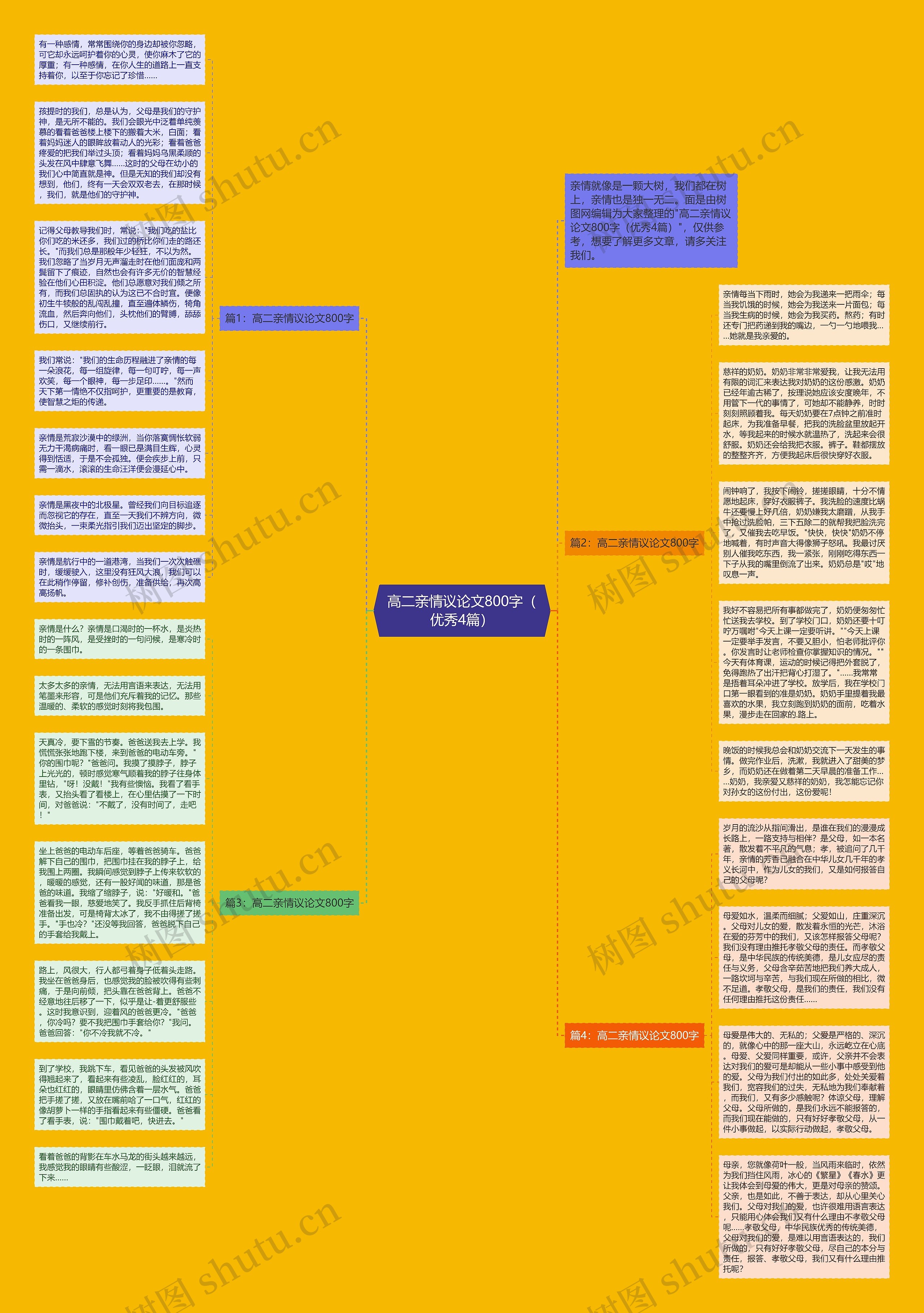 高二亲情议论文800字（优秀4篇）思维导图