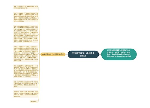 中考优秀作文：成长路上的阳光